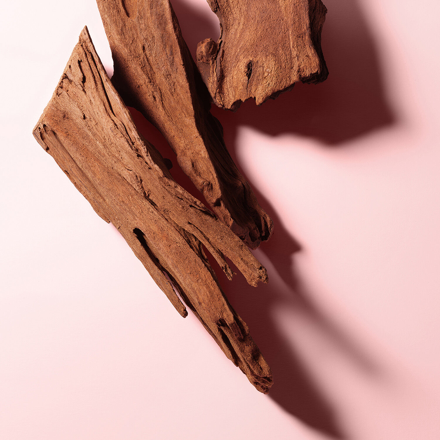virginia cedar