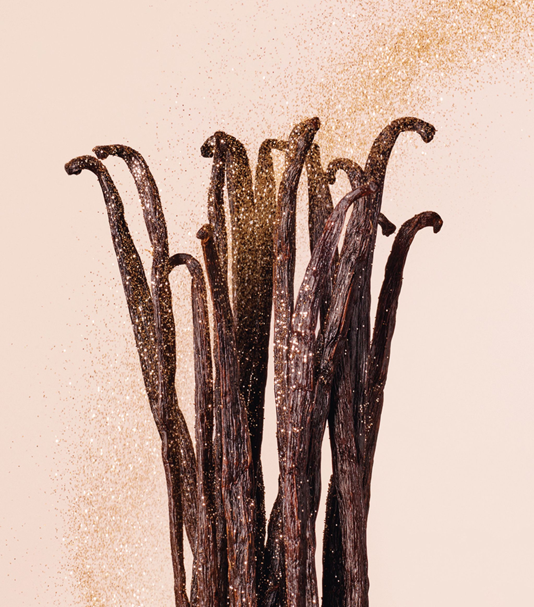 jimmy choo seduction collection