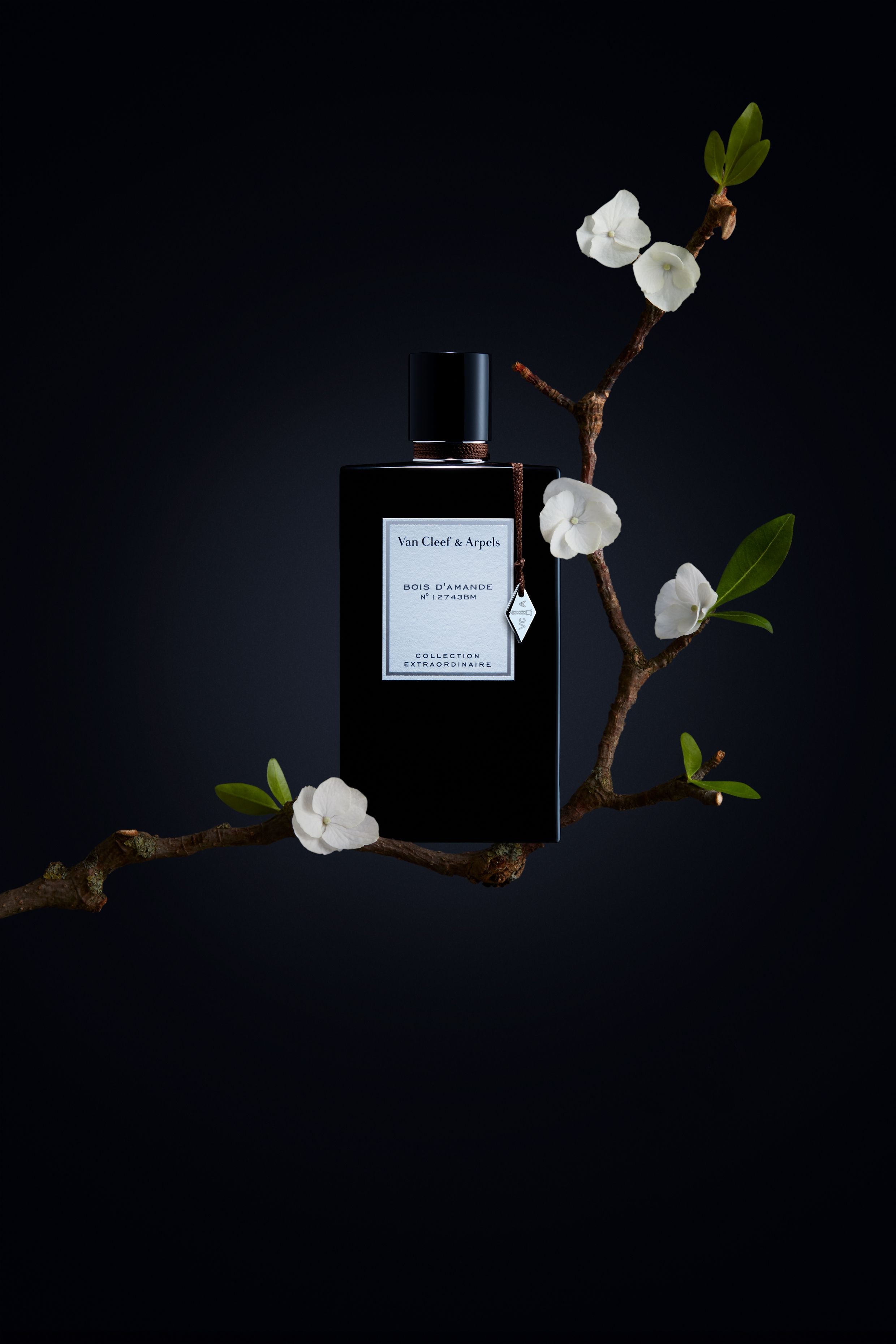 fragrantica van cleef and arpels