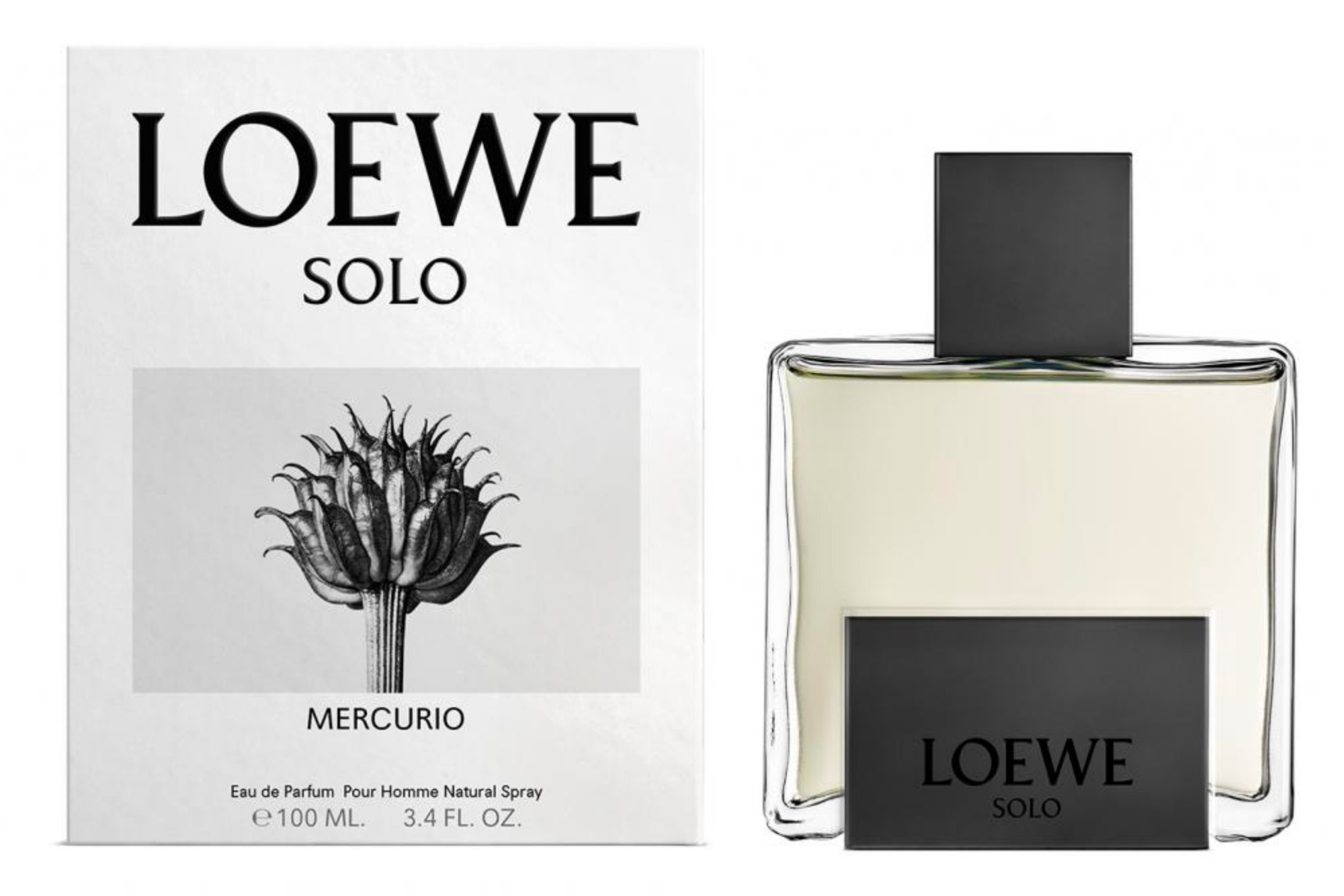 essential loewe perfume