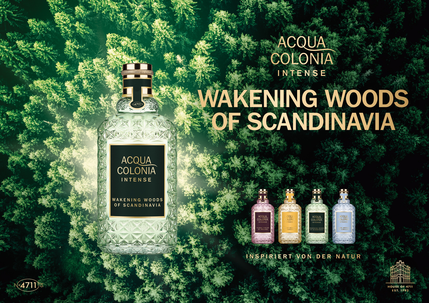 acqua di colonia wakening in the woods