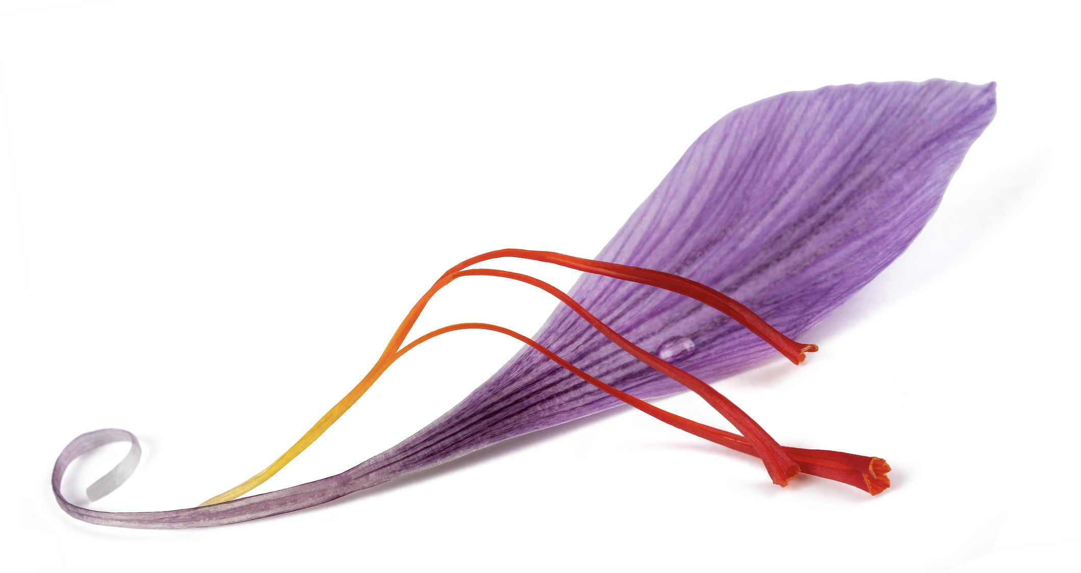 Carolina Herrera Saffron Lazuli A Especiaria Vermelha Num Frasco Azul