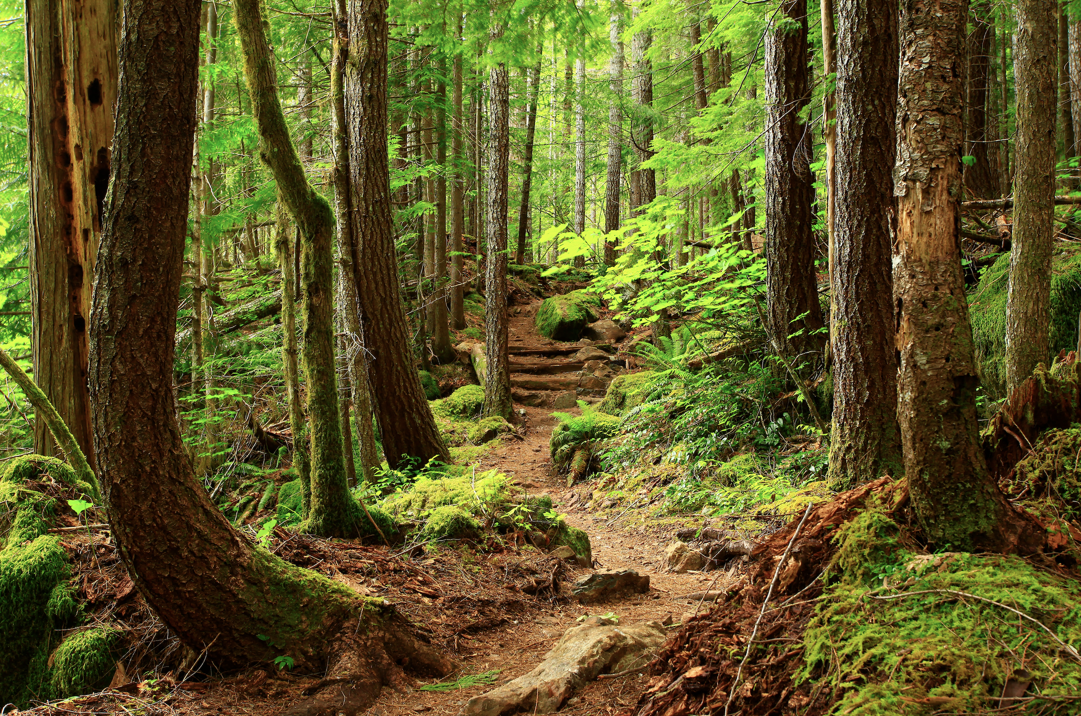 Boundless Vanilla: Vanille Supermassive by Les Eaux Primordiales