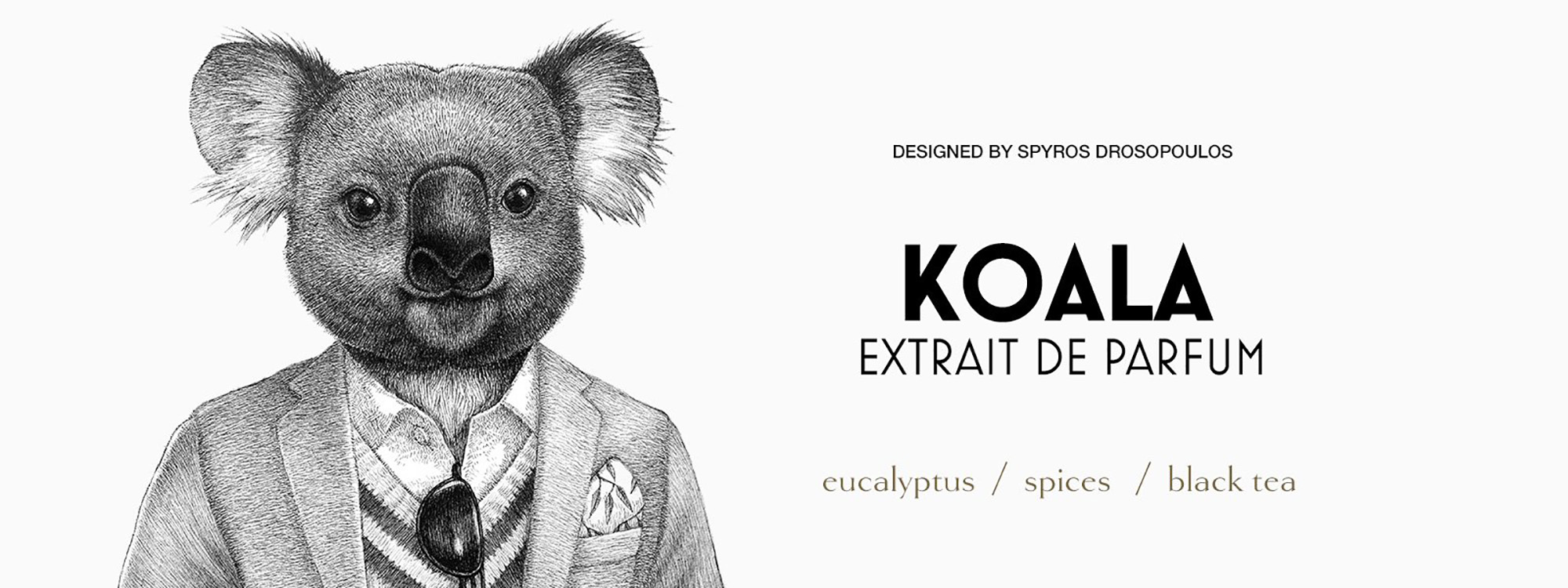 Koala masthead from Zoologist perfumes. 