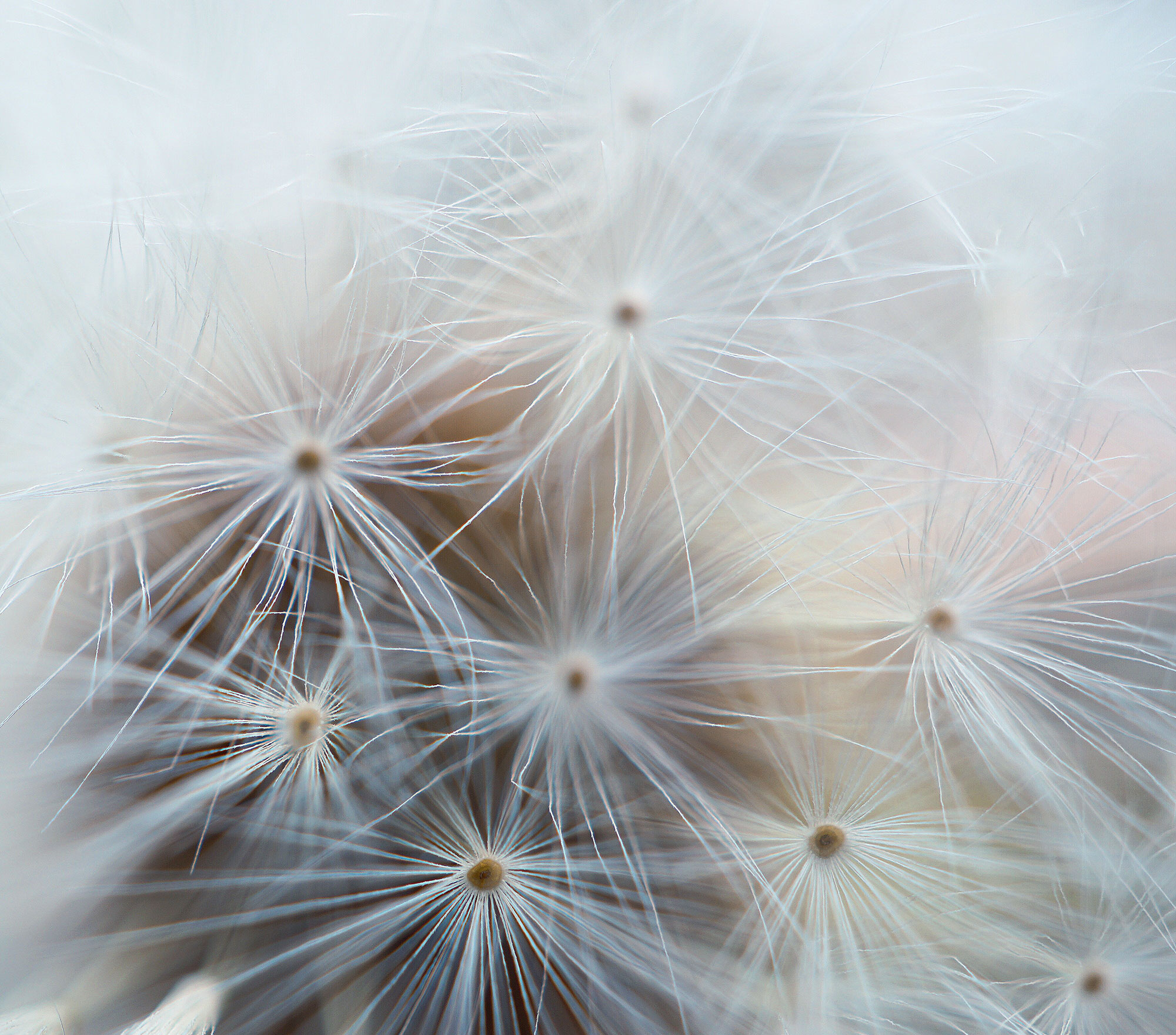 Reviewing Slumberhouse Fjerne, the UnexpectedlyEdible New Creation