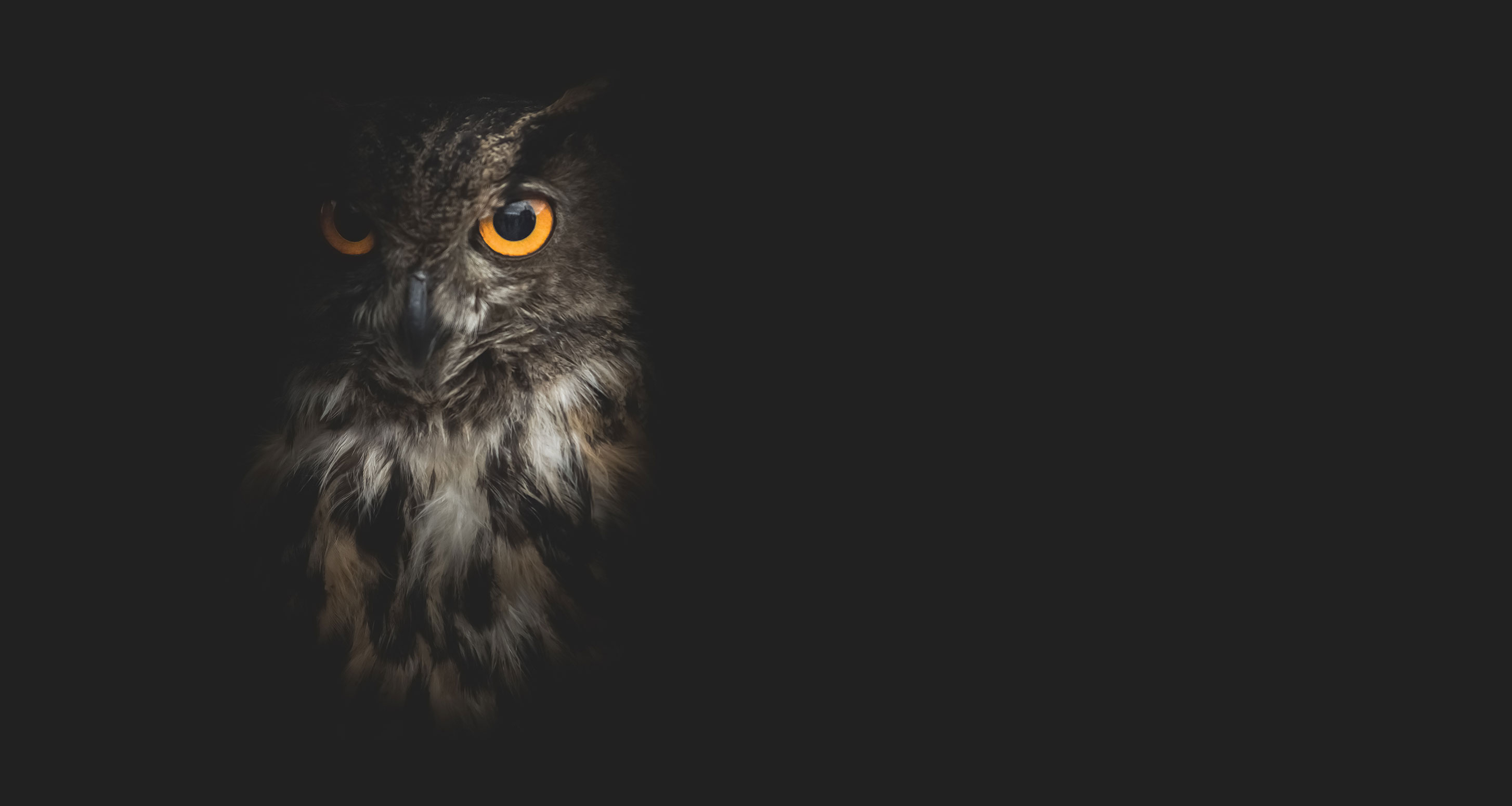 Reviewing Slumberhouse Fjerne, the UnexpectedlyEdible New Creation