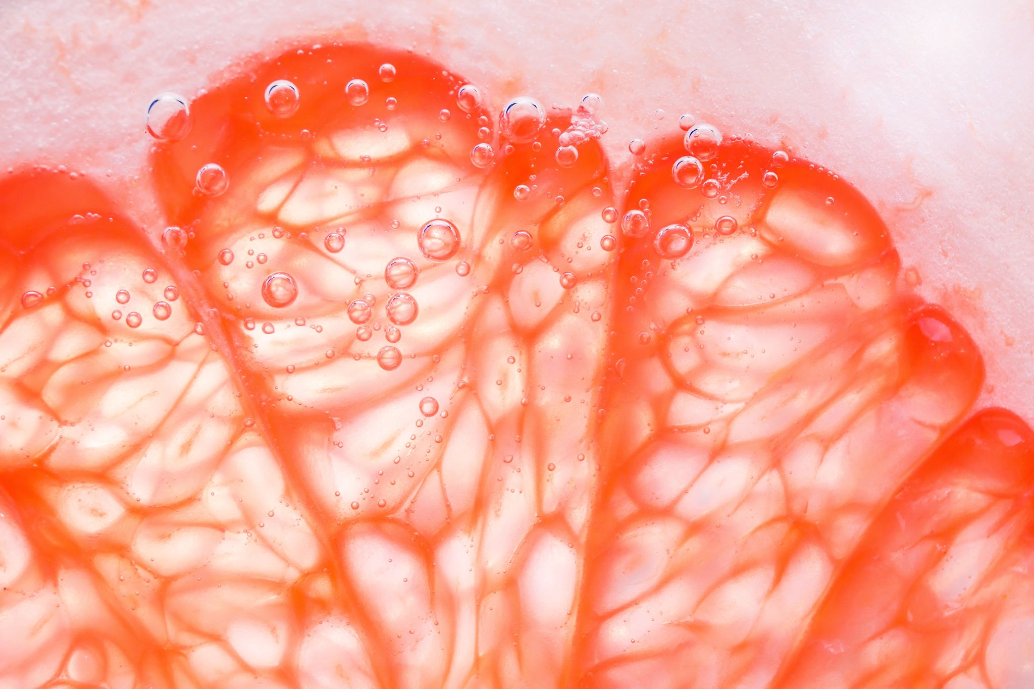 grapefruit slices seen in close up