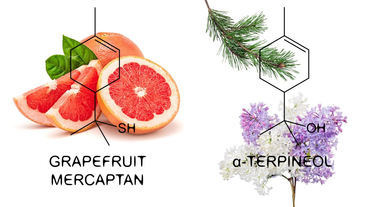 mercaptan and α-terpineol
