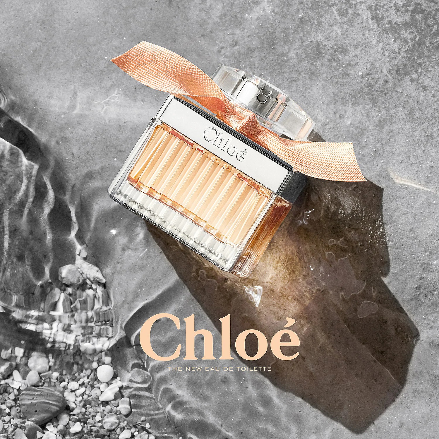 chloe signature rose