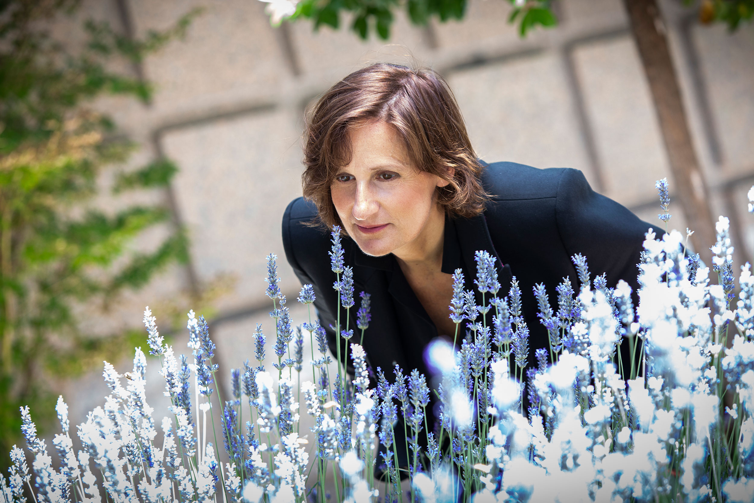 I Like to Keep it Simple: Interview with Anne Flipo ~ Interviews