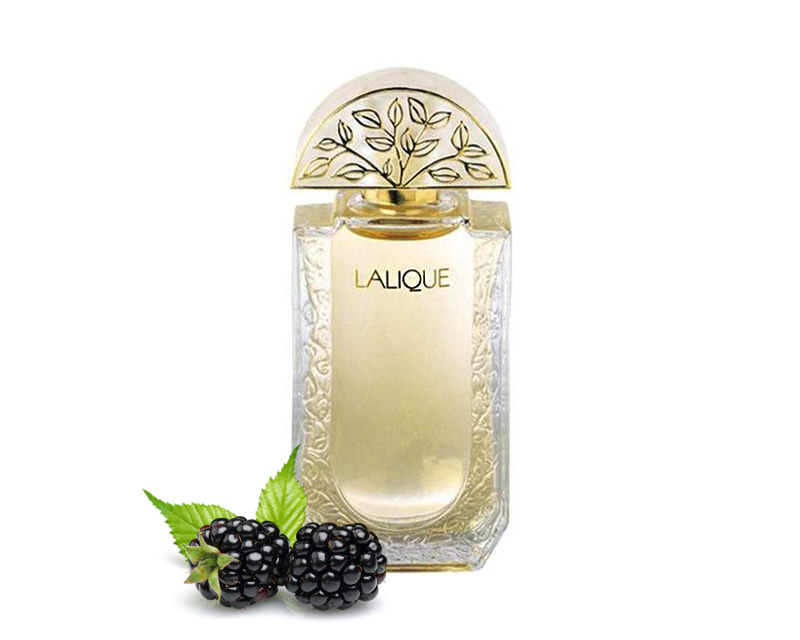 perfume that smells like dewberry