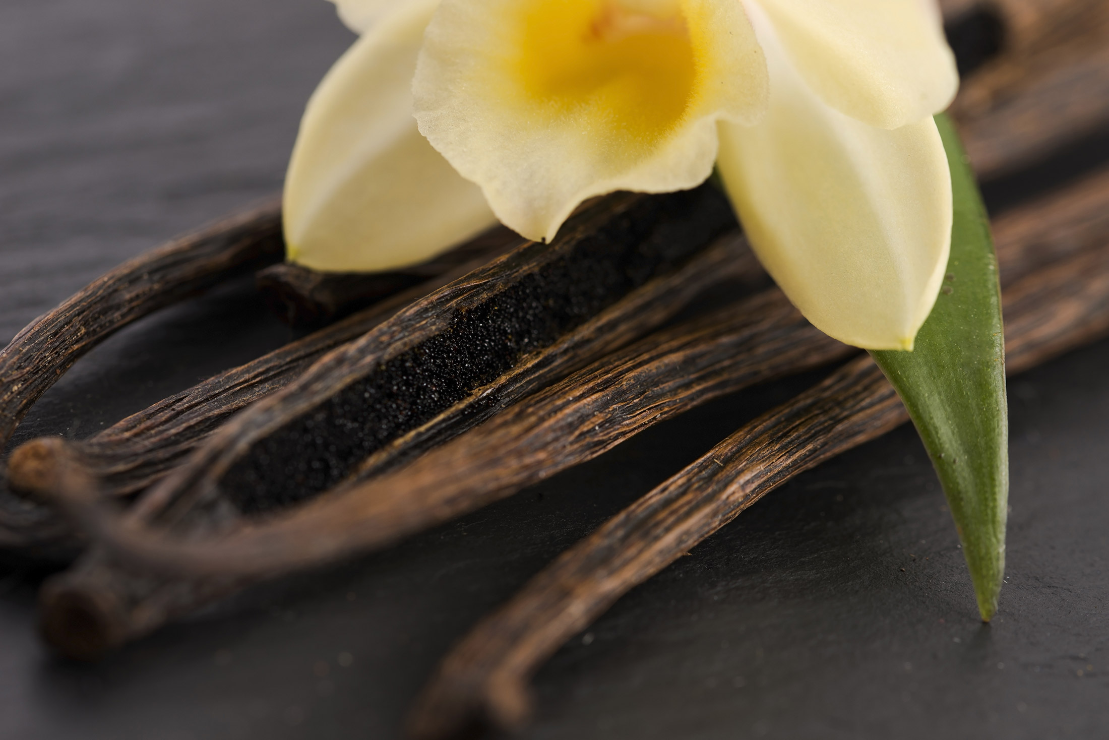 Вкус запах ванили. Бурбонская ваниль растение. Орхидея ваниль стручки. Мадагаскарская ваниль. Ваниль плосколистная.