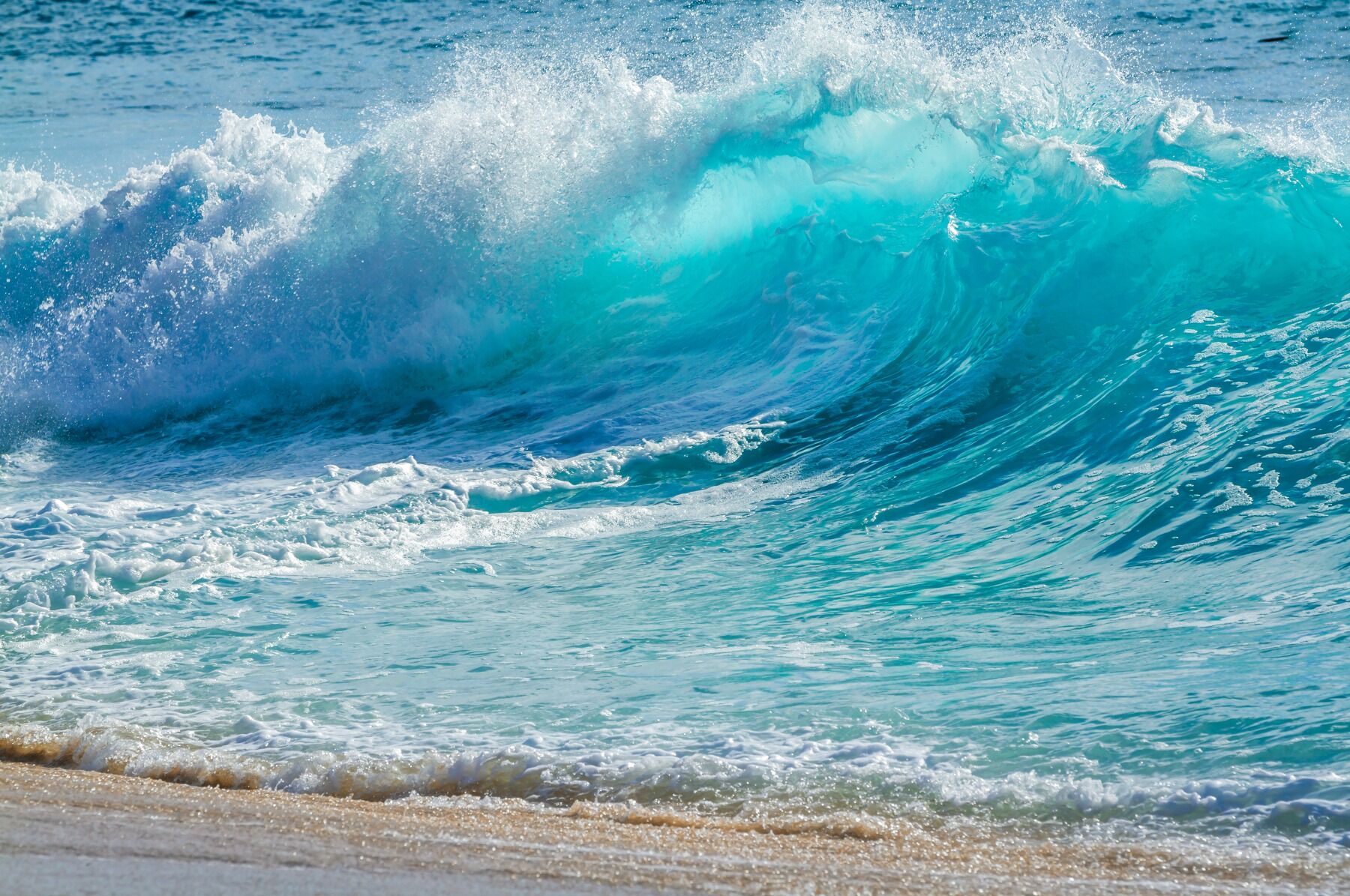 A wave crashing on a beach