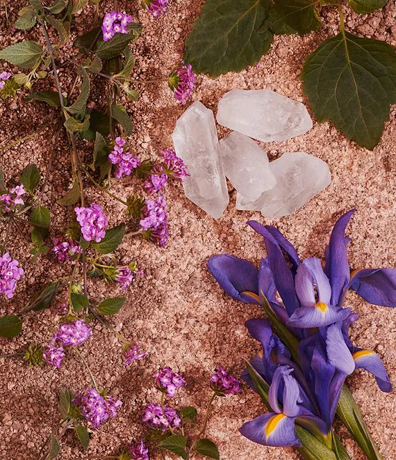 Daisy Paradise Marc Jacobs