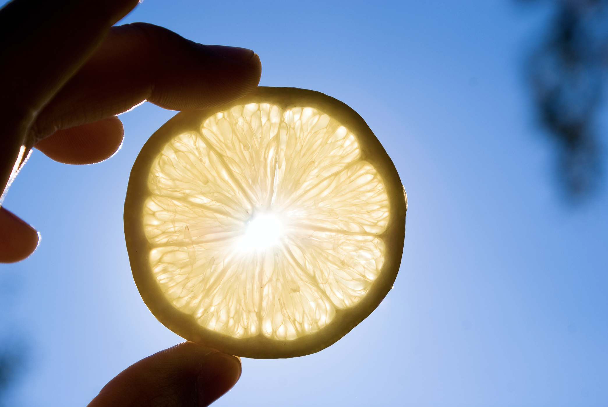 FRAGRANZE 2023: Histoire d’une Rose — розовый шипр, розовый одеколон