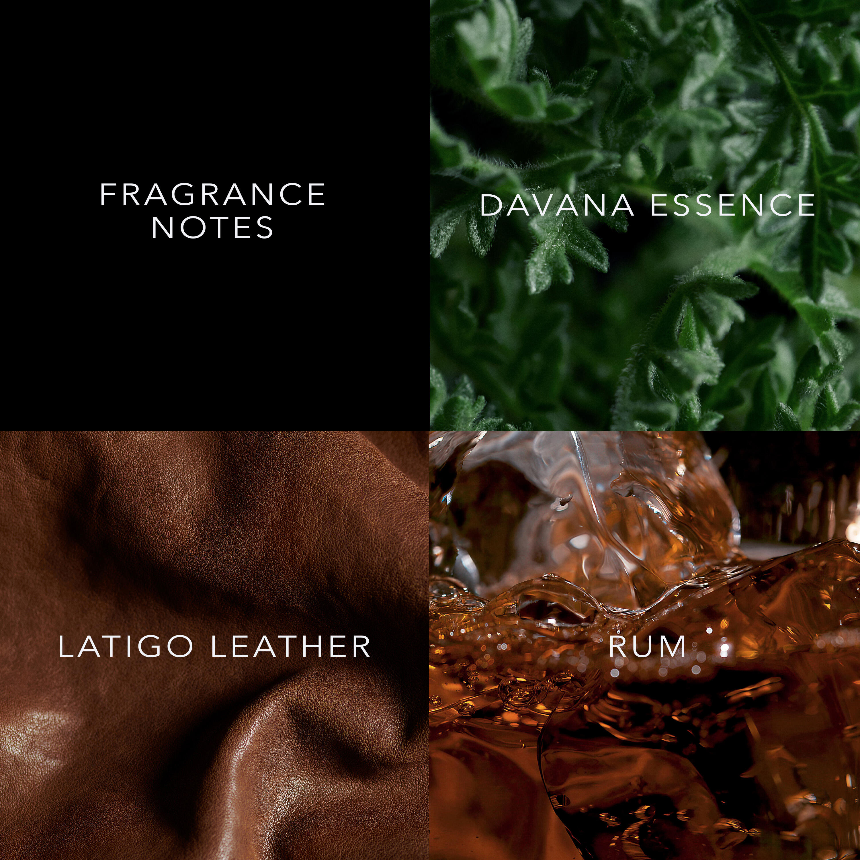 John Varvatos XX Elixir