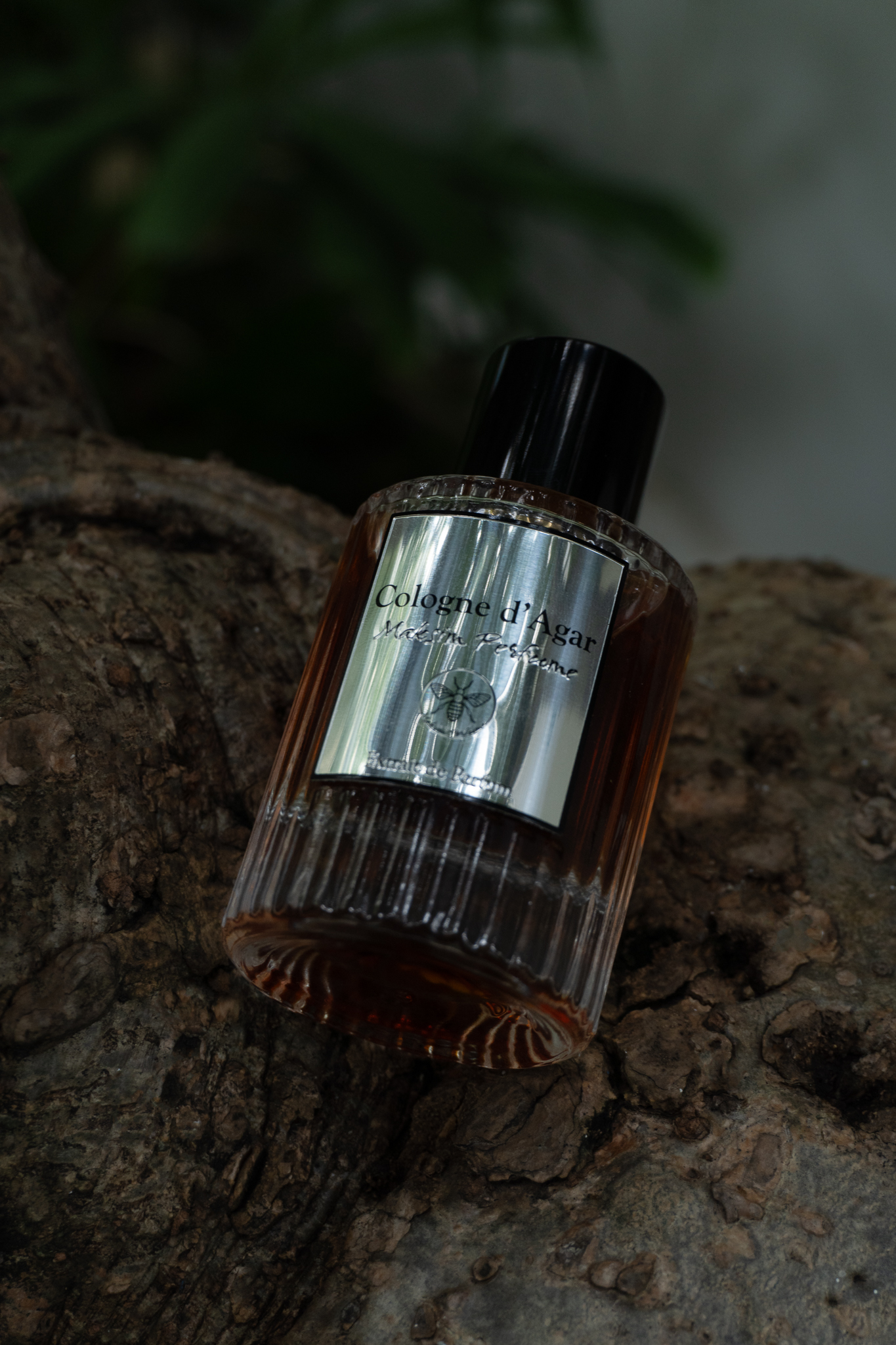 Cologne d'Agar: Maksim New Fragrance ~ New Fragrances