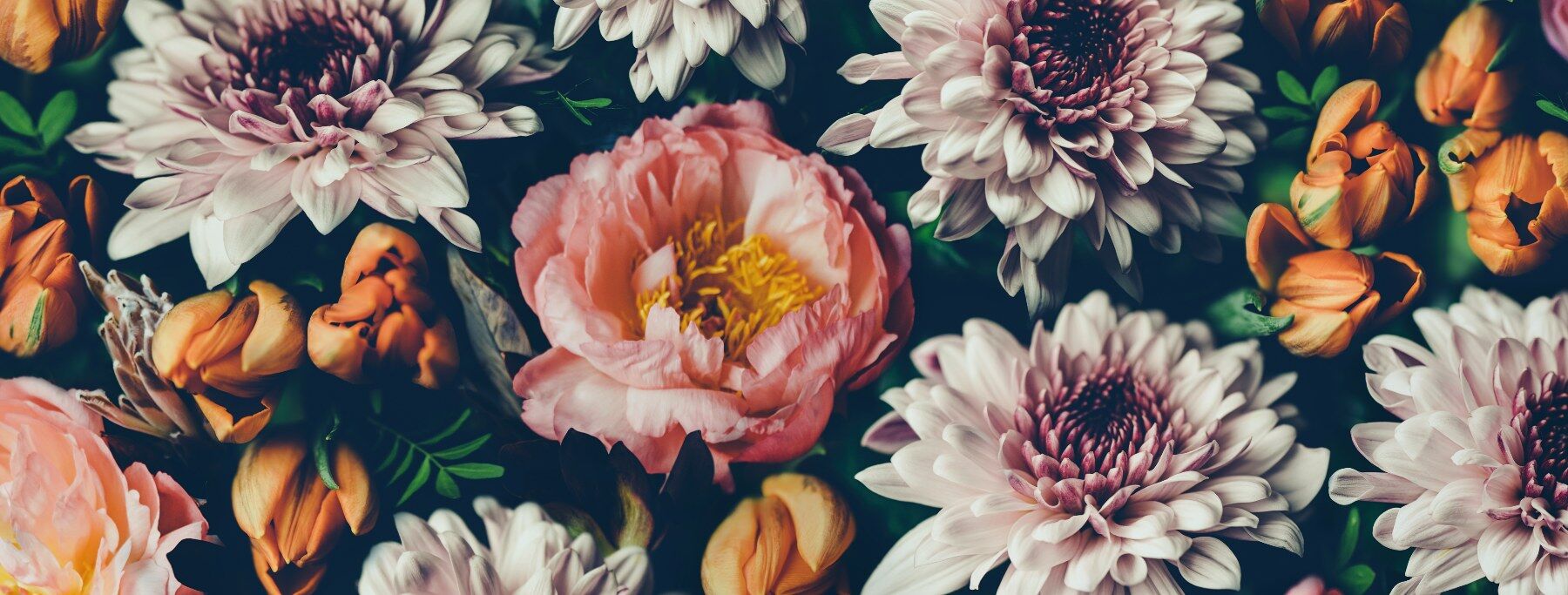Vintage flowers on a dark background