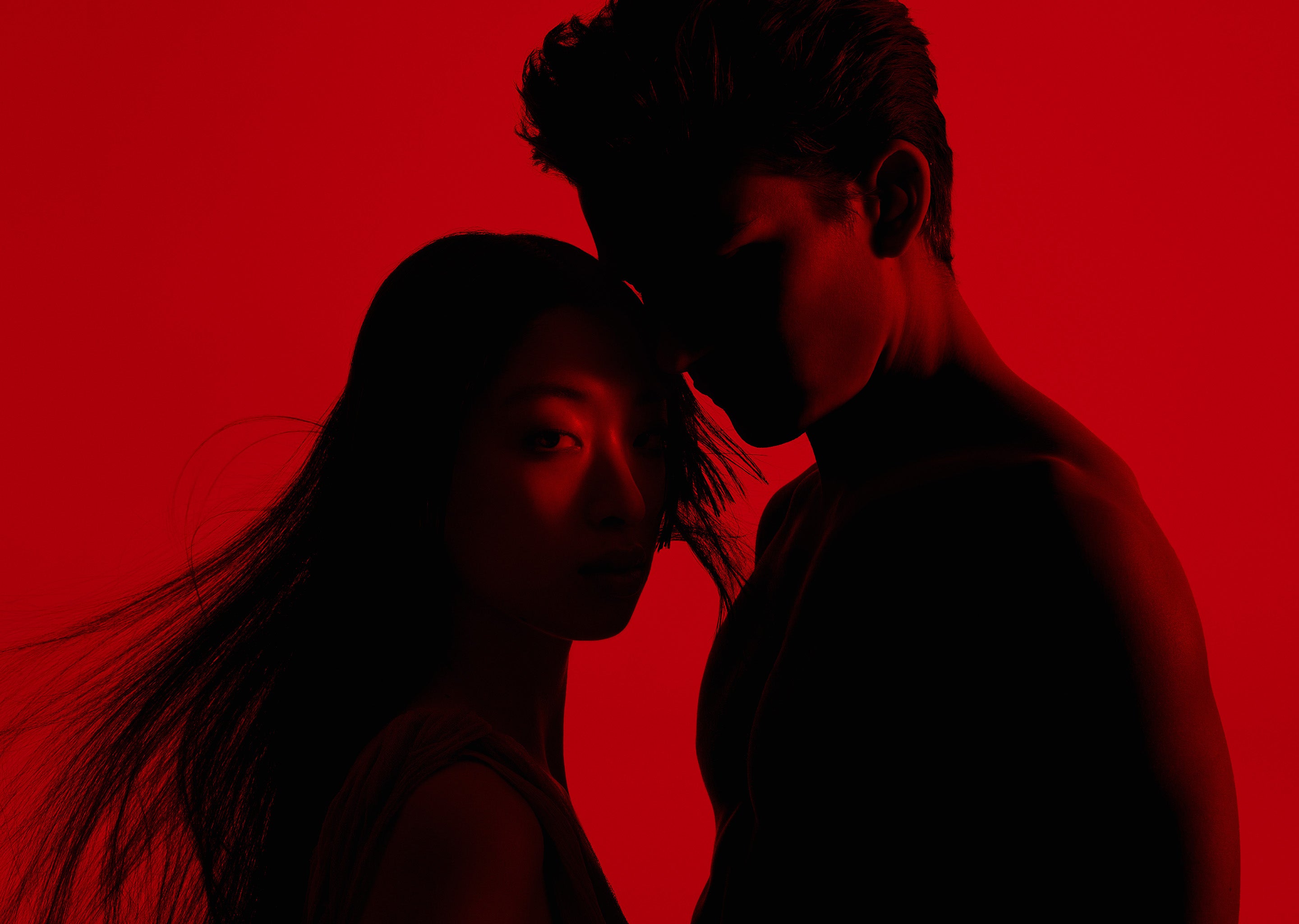 Molecule 01 + Champaca