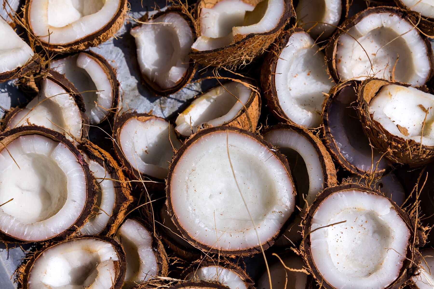 Halves of coconut