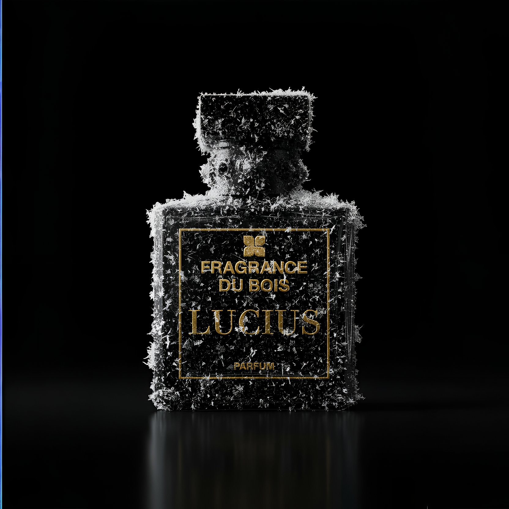 Lucius by Fragrance du Bois: Amber-Woody, Unapologetically