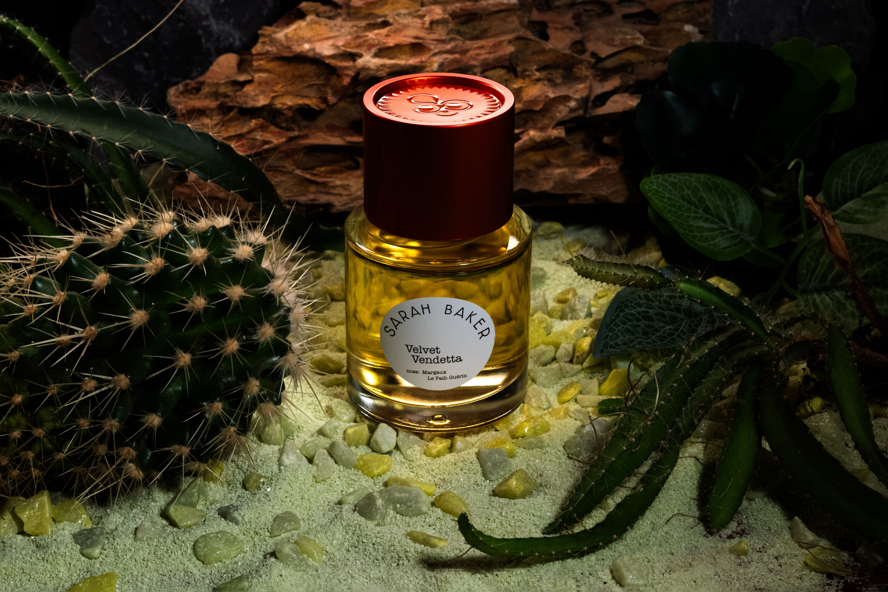 Velvet Vendetta Sarah Baker