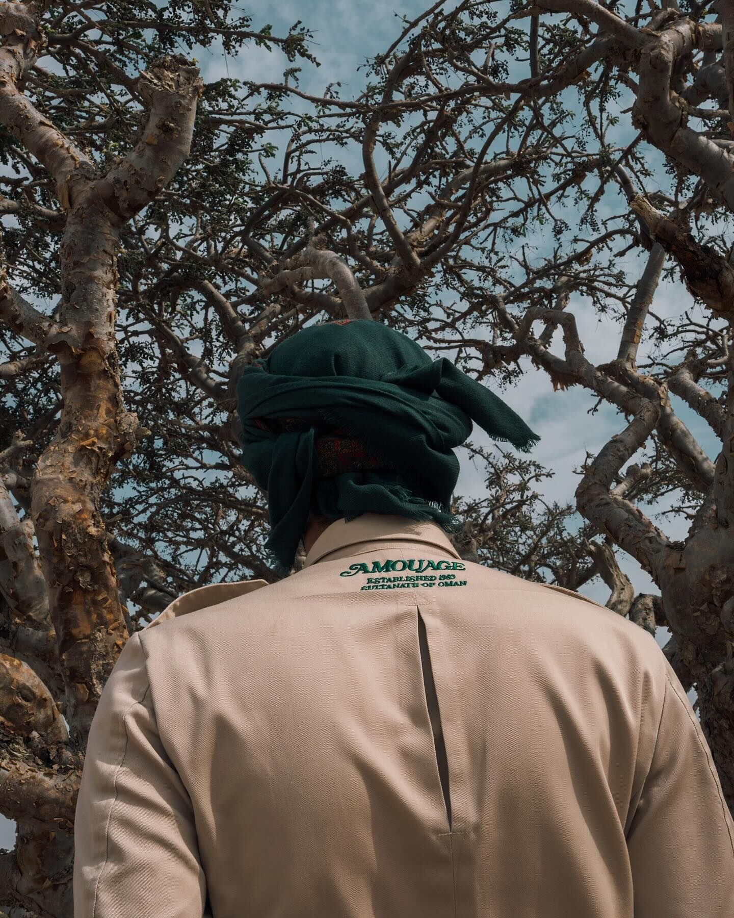 Amouage tree caregiver