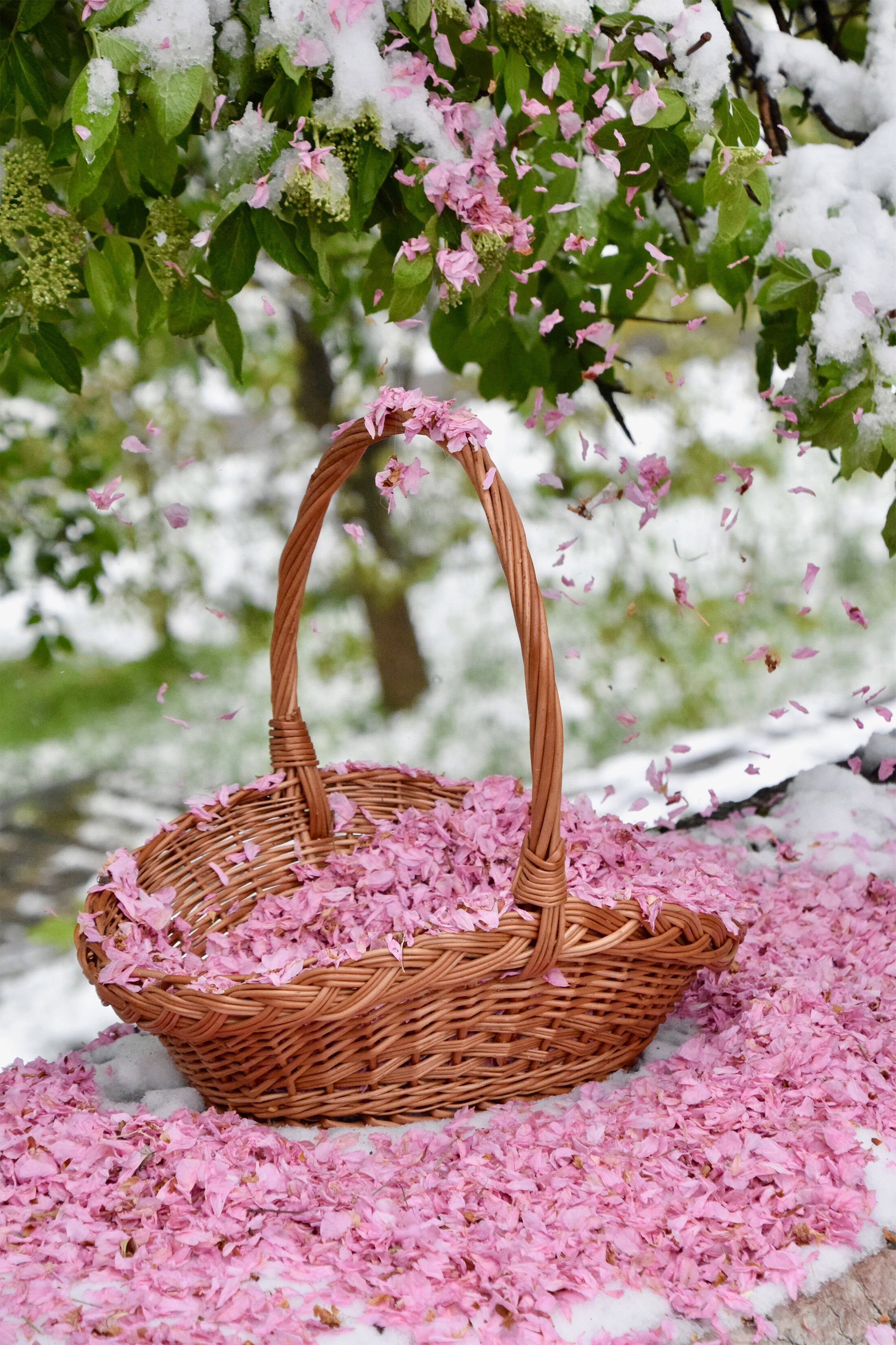 Baskets guerlain online