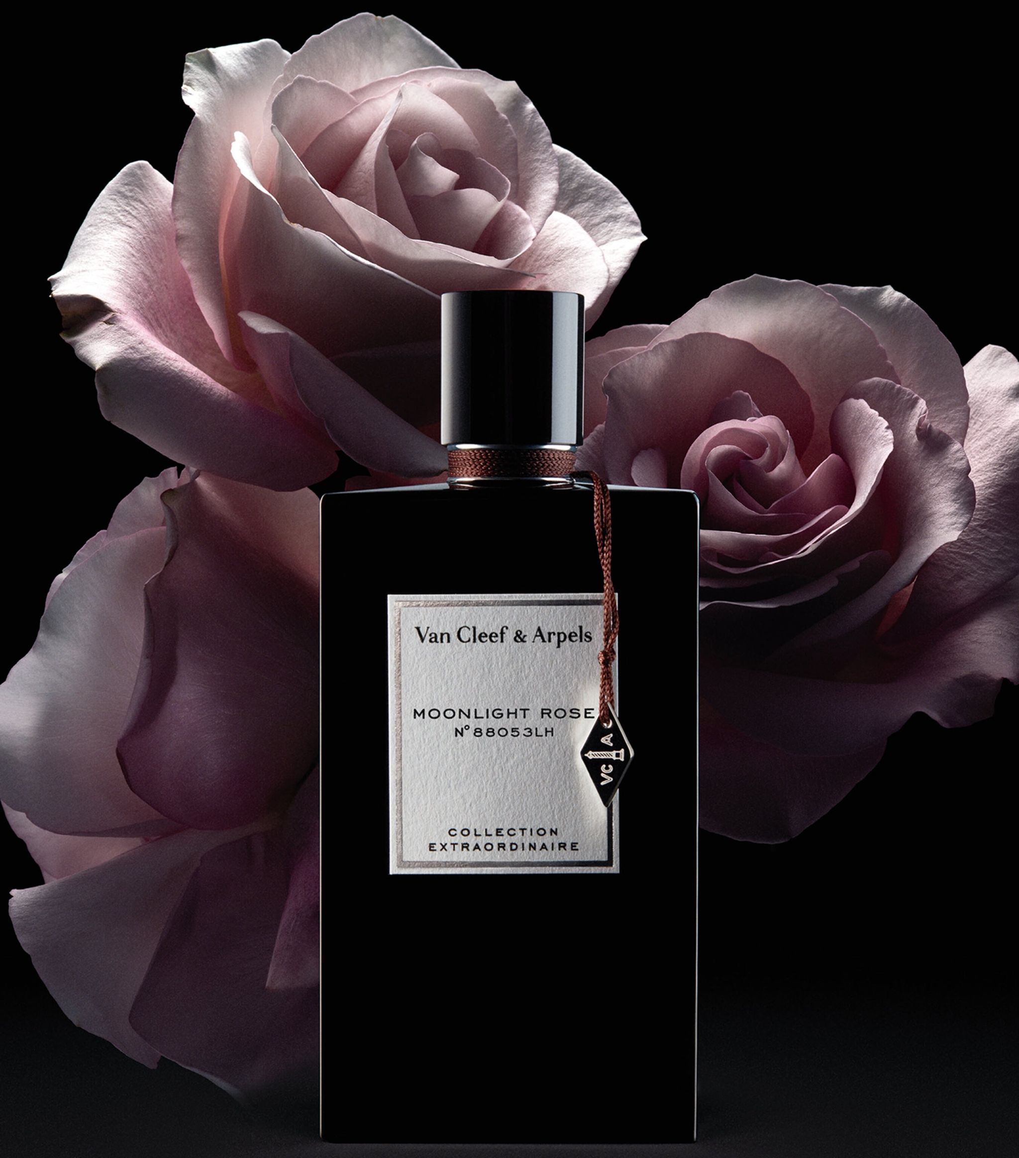 Uitstekend Voorgevoel oud Van Cleef & Arpels Moonlight Rose ~ New Fragrances