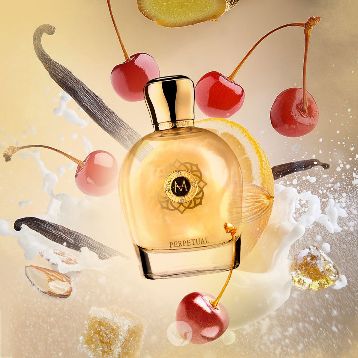 Perpetual Moresque for women and men