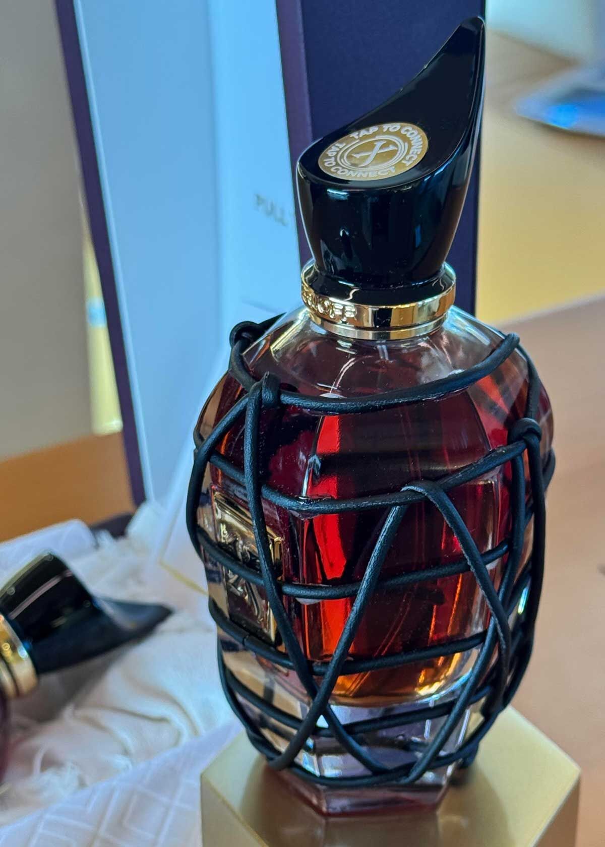 XERJOFF SKETCHBOOK COLLECTION: P.13, P.18, and P.70