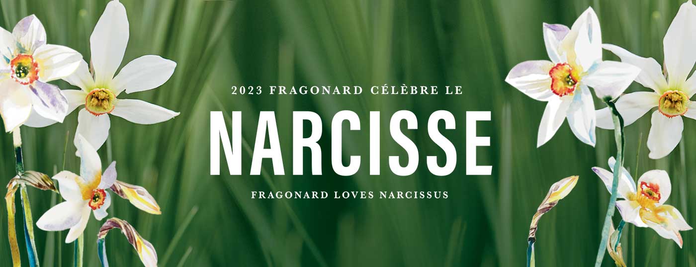 fragonard narcis