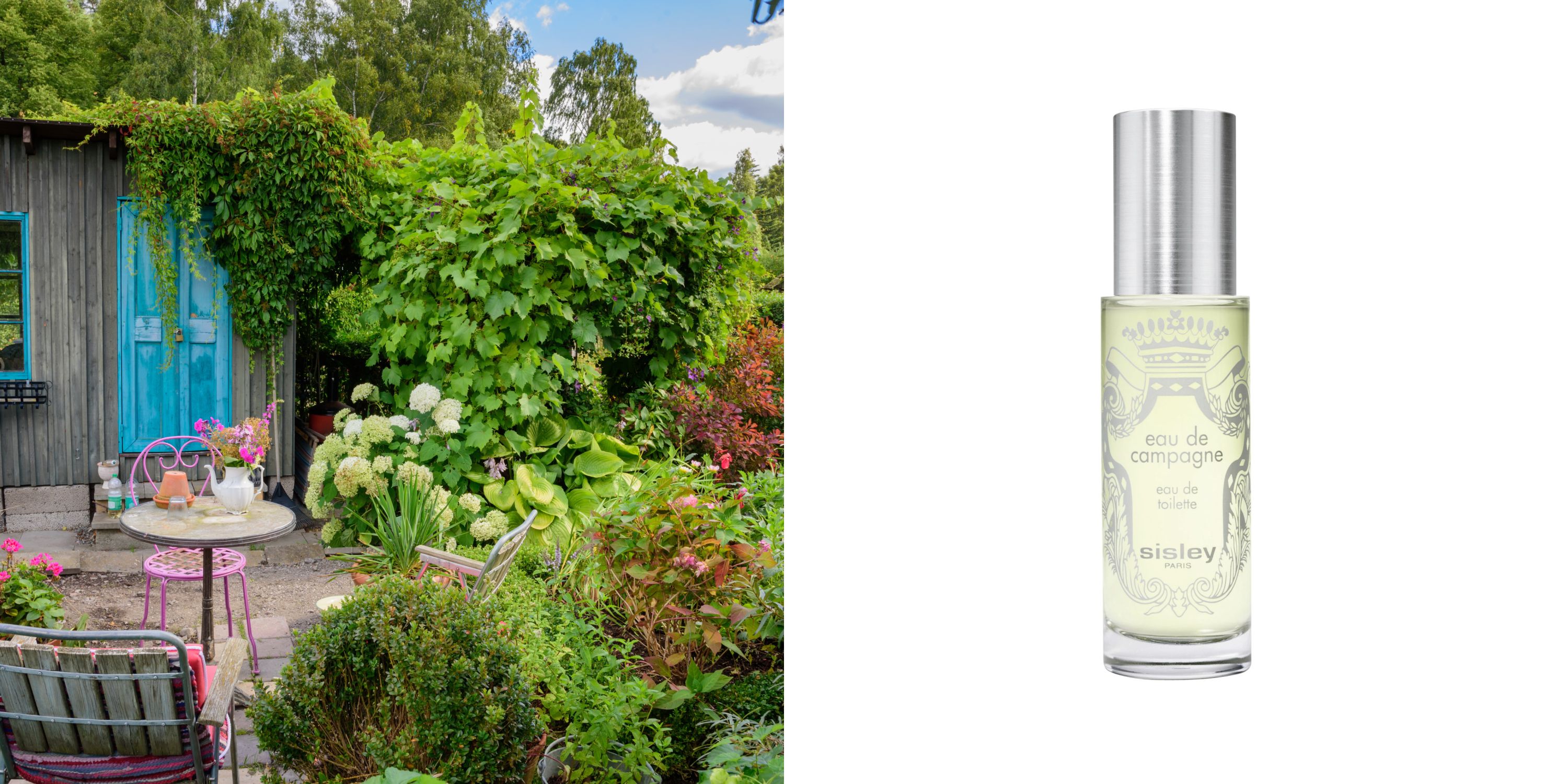 Eau de Campagne Sisley for women and men