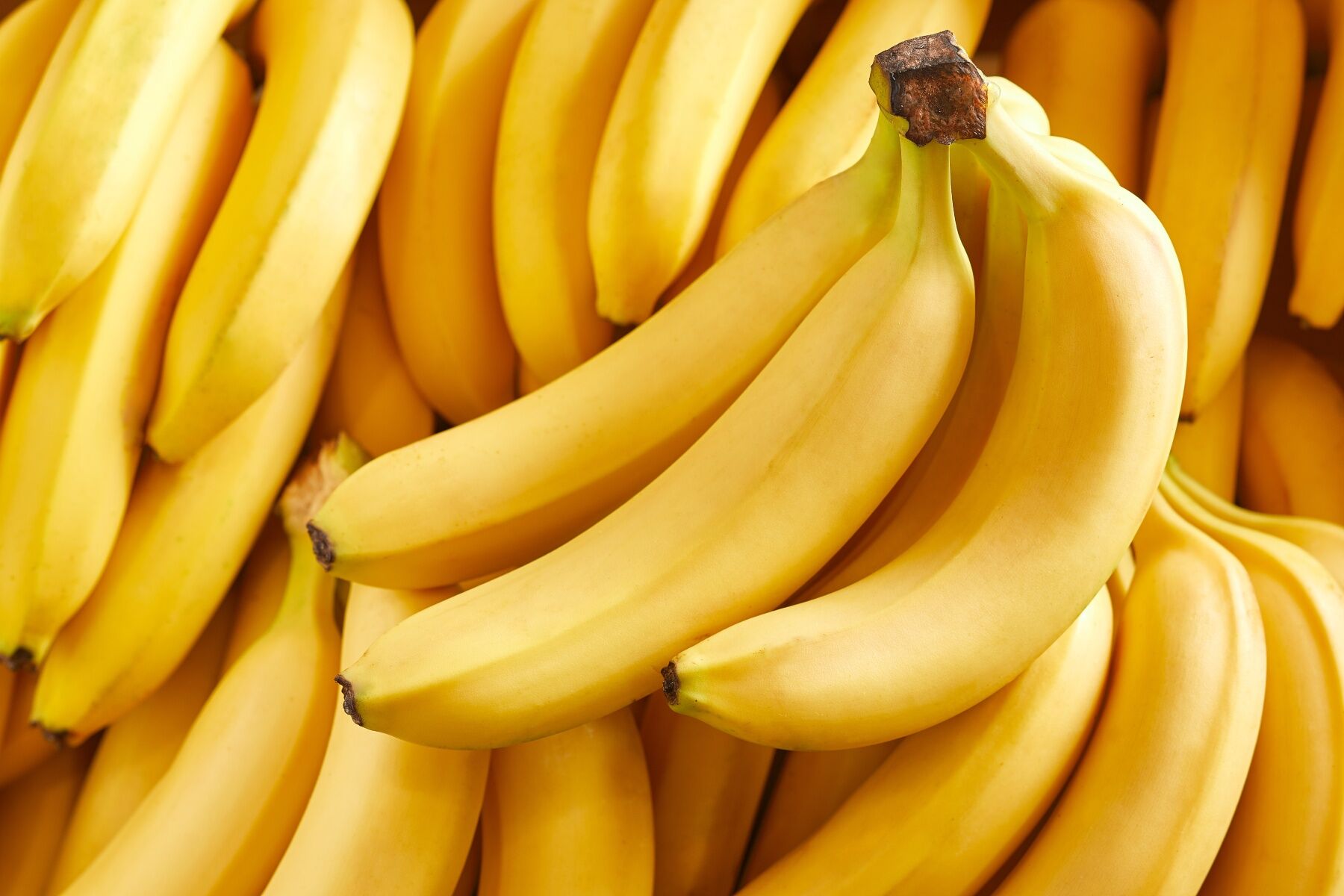 A huge bunch of yellow bananas