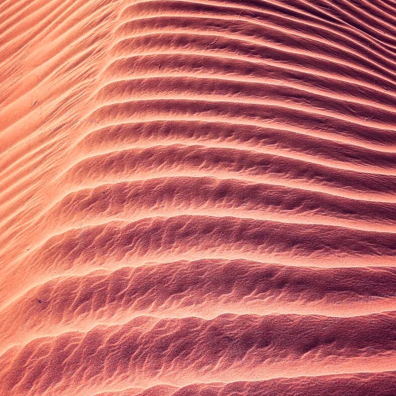 sand dunes