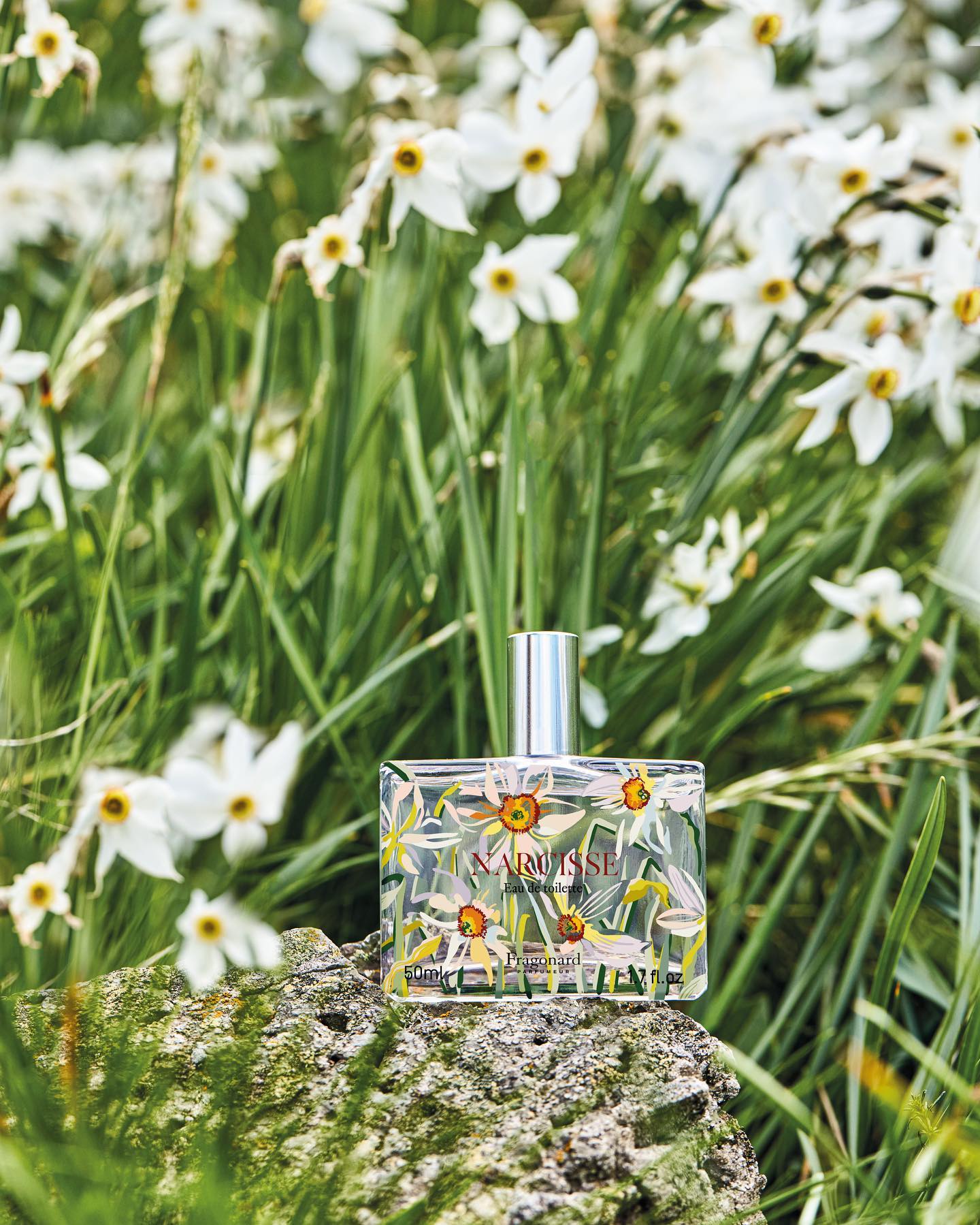 Fragonard Flower of the Year: Narcisse ~ New Fragrances