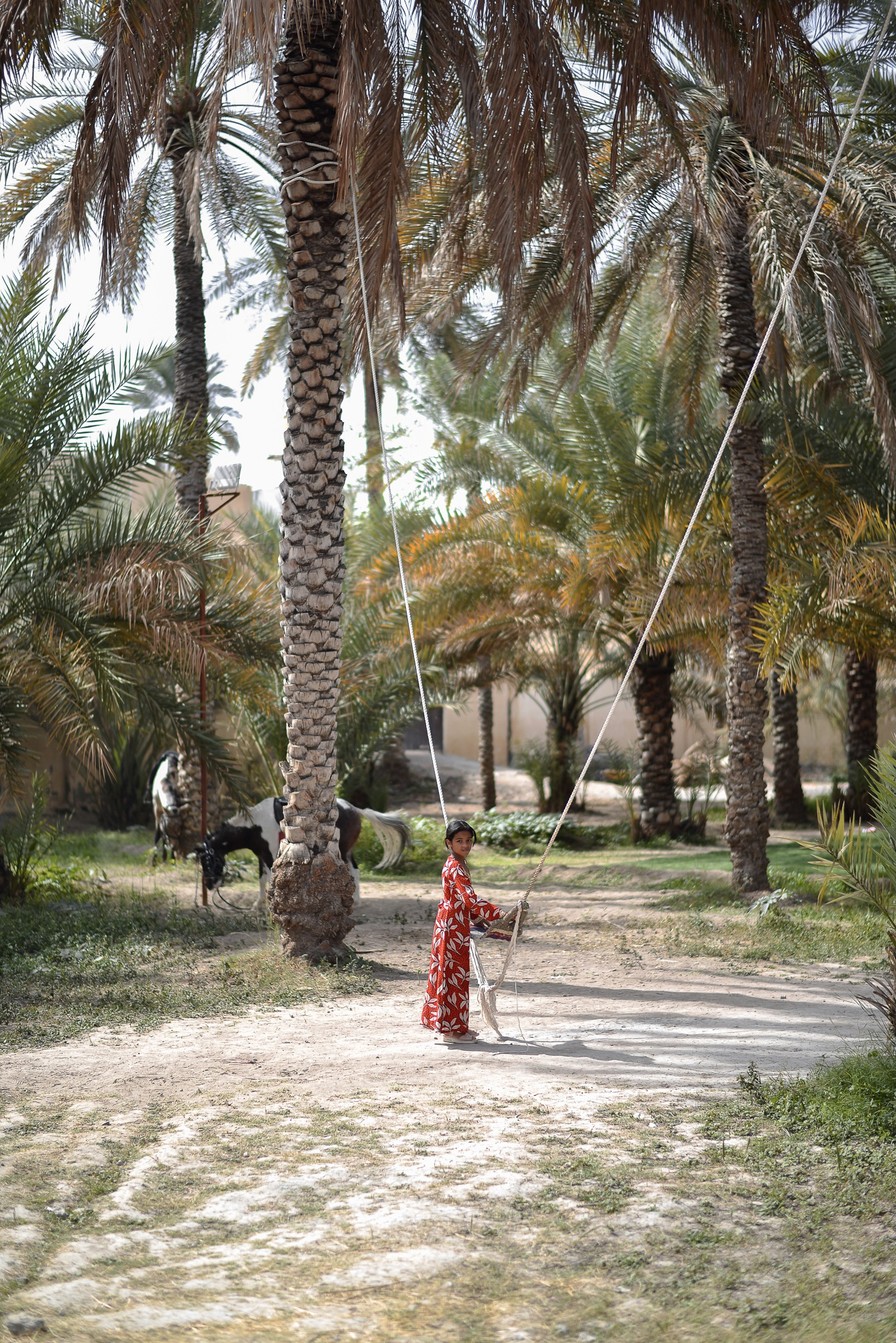 Scented Journey by Omanluxury to the Land of Fragrances