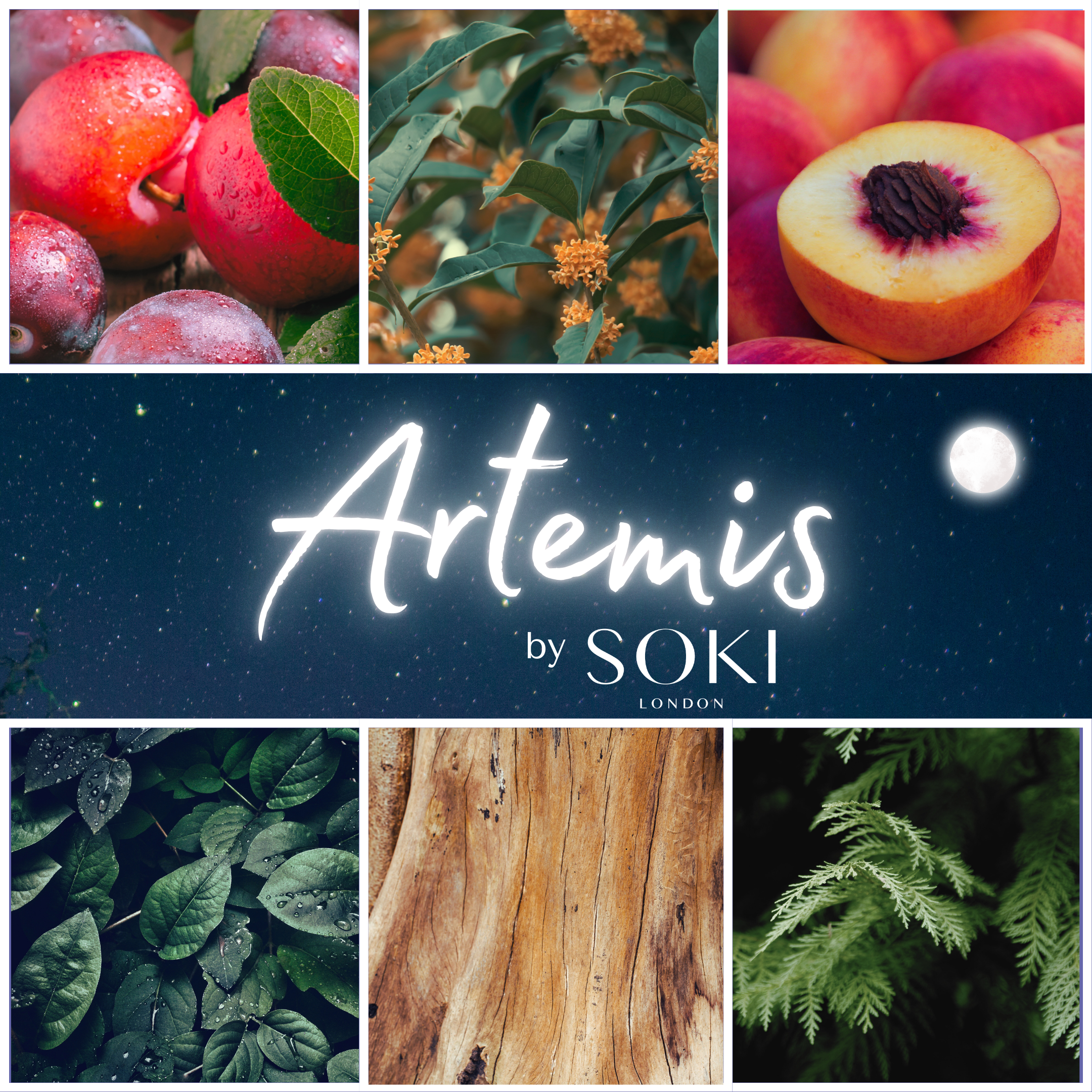 Soki London's third perfume Artemis notes