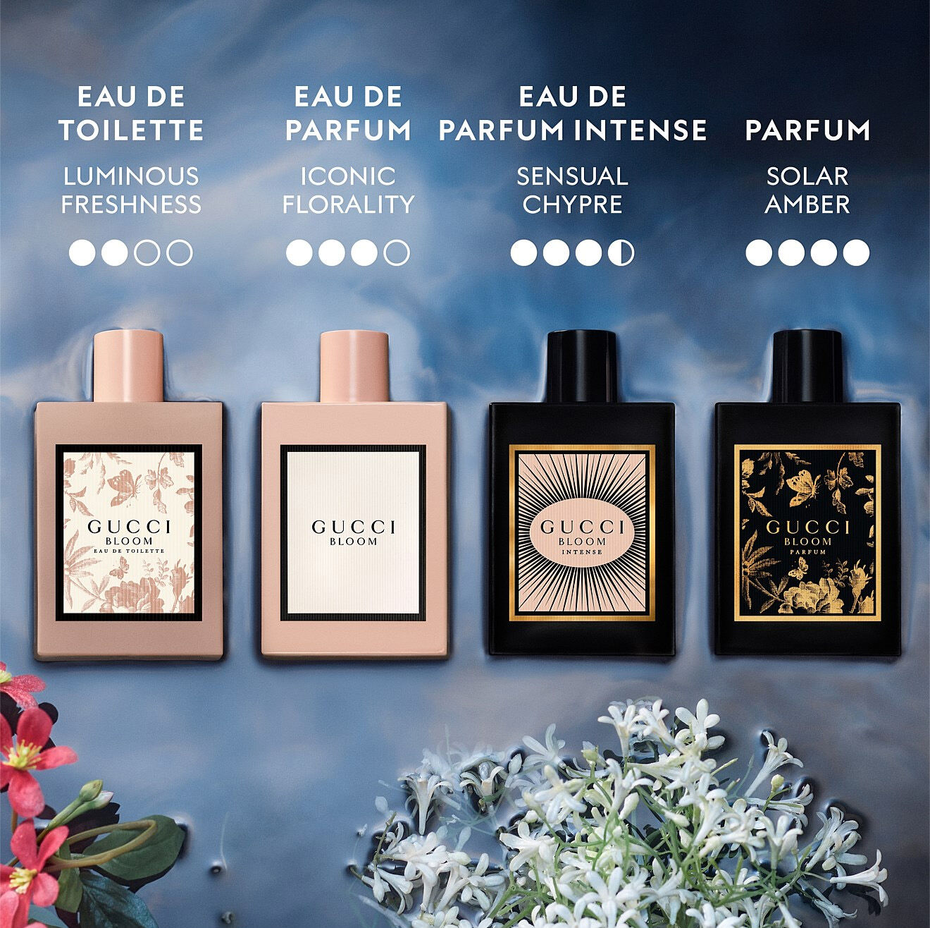 gucci bloom collection