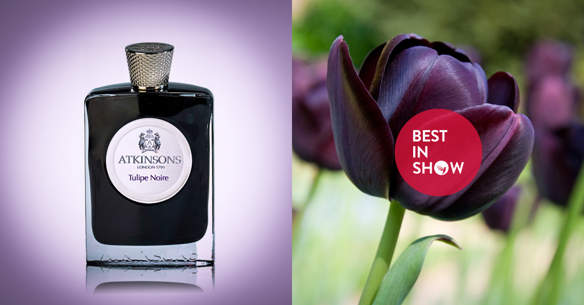 Perfume bottle of Tulipe Noire Atkinsons for women and men.