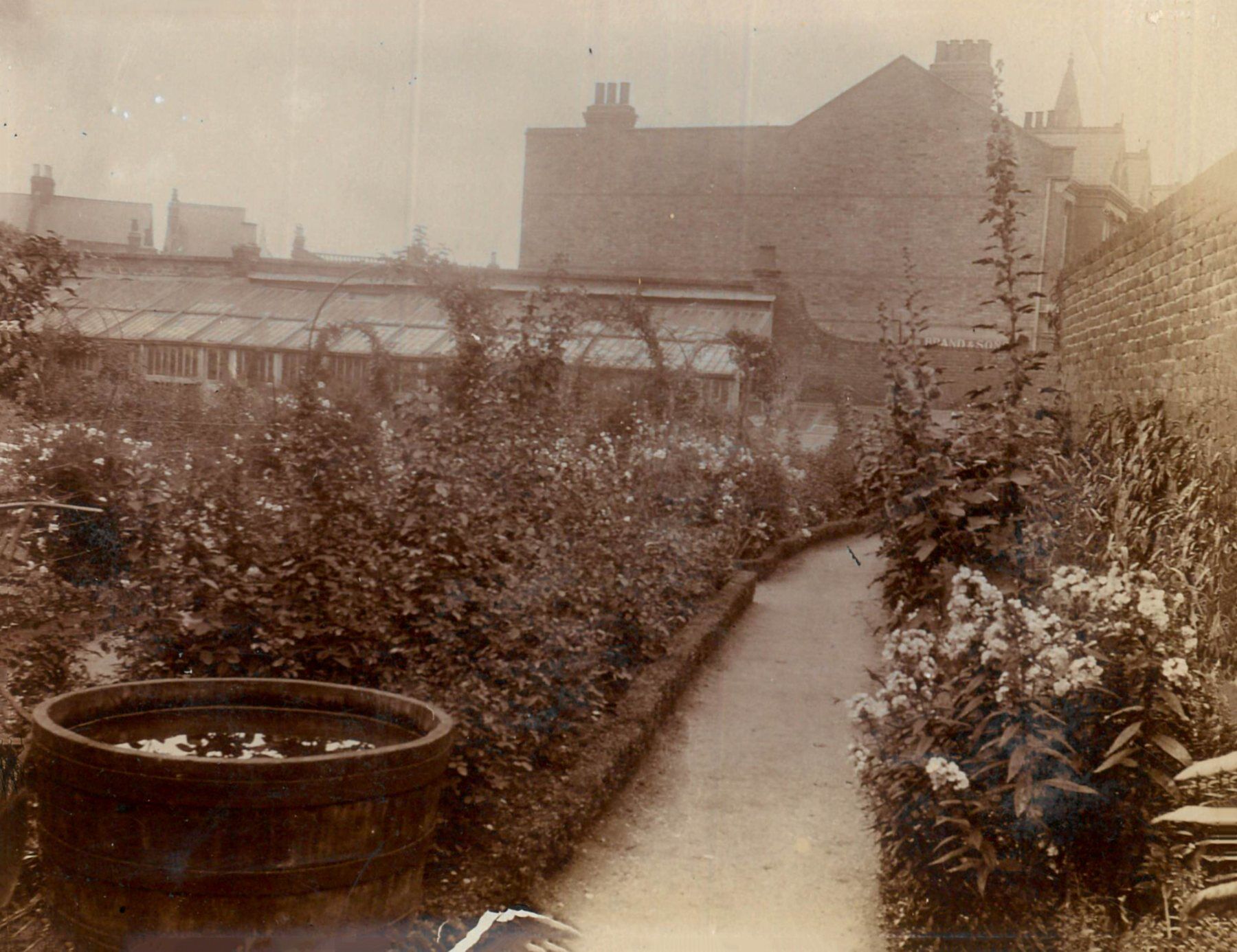 An old photograph showing the gardens at Ivy Lodge