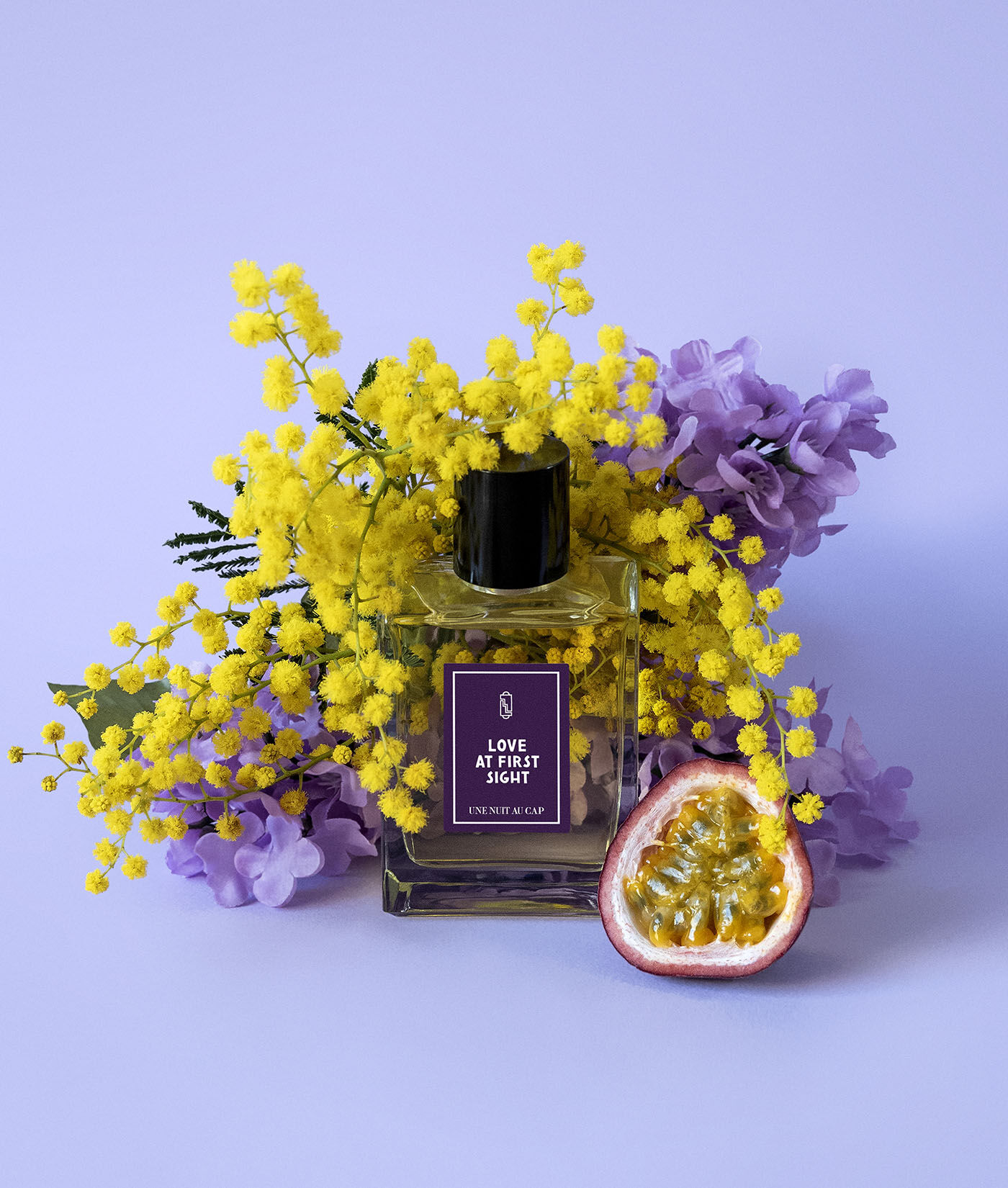 Lobe at First Sight by Une Nuit Nomade