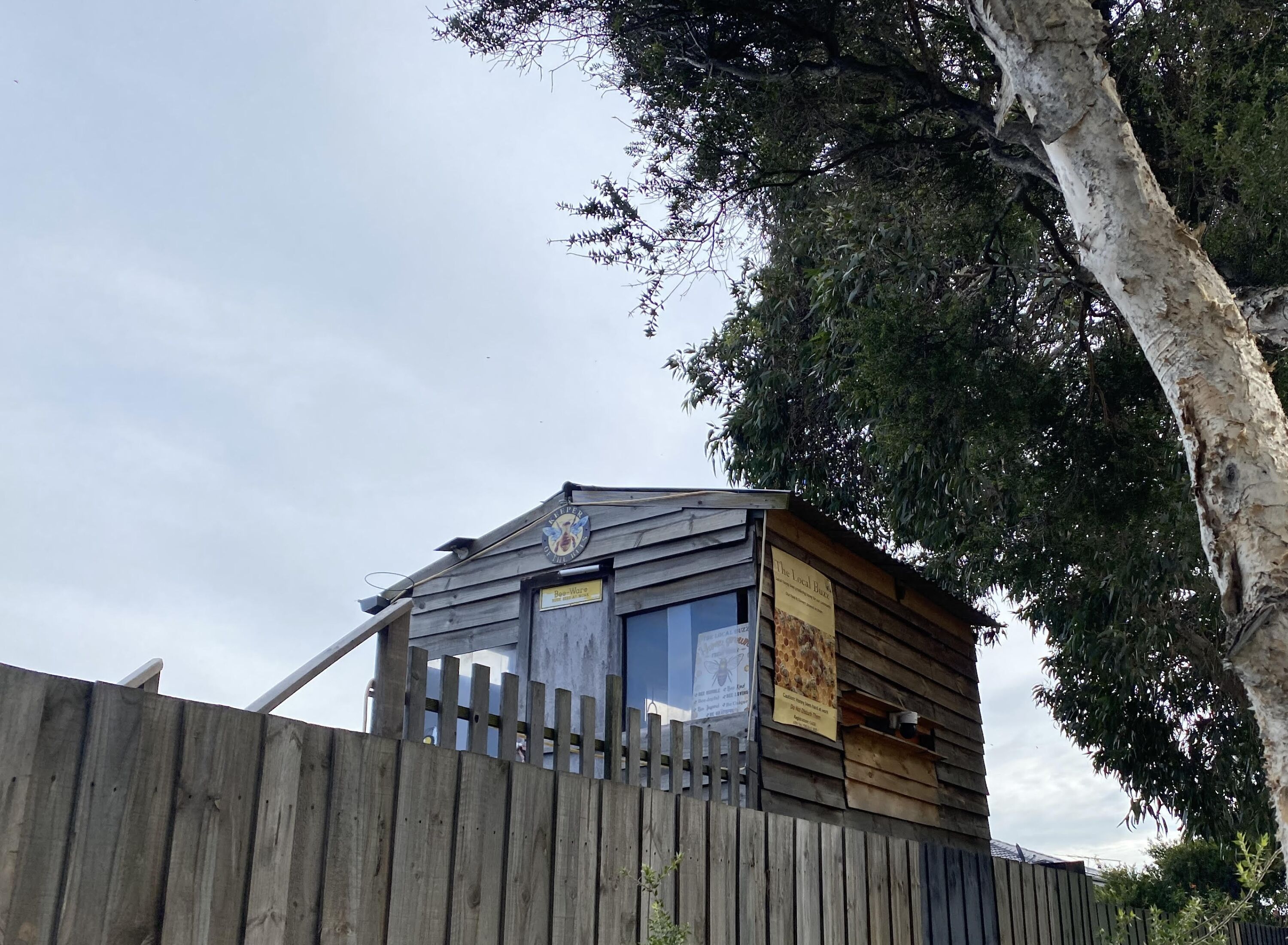 Local beehive seen popping out from somebody's backyard