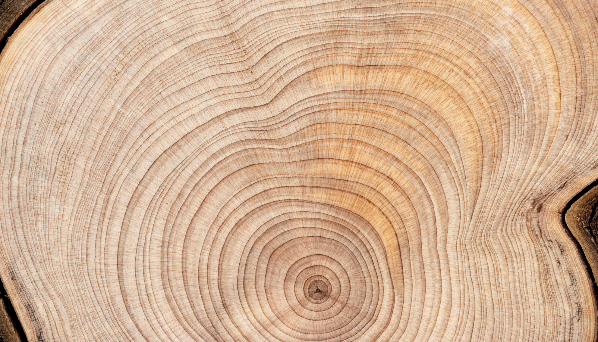 Caspian Cherry by Electimuss London: Cherry with a Twist