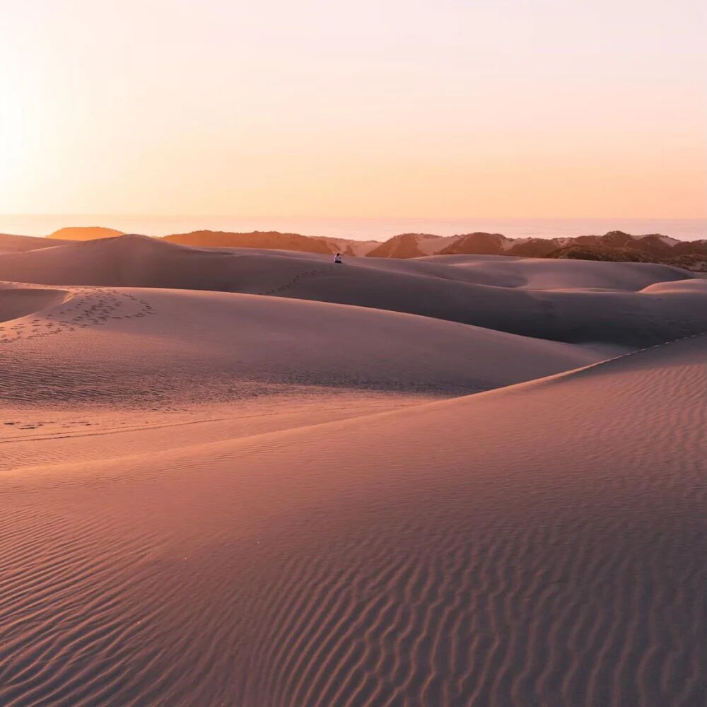 dunes