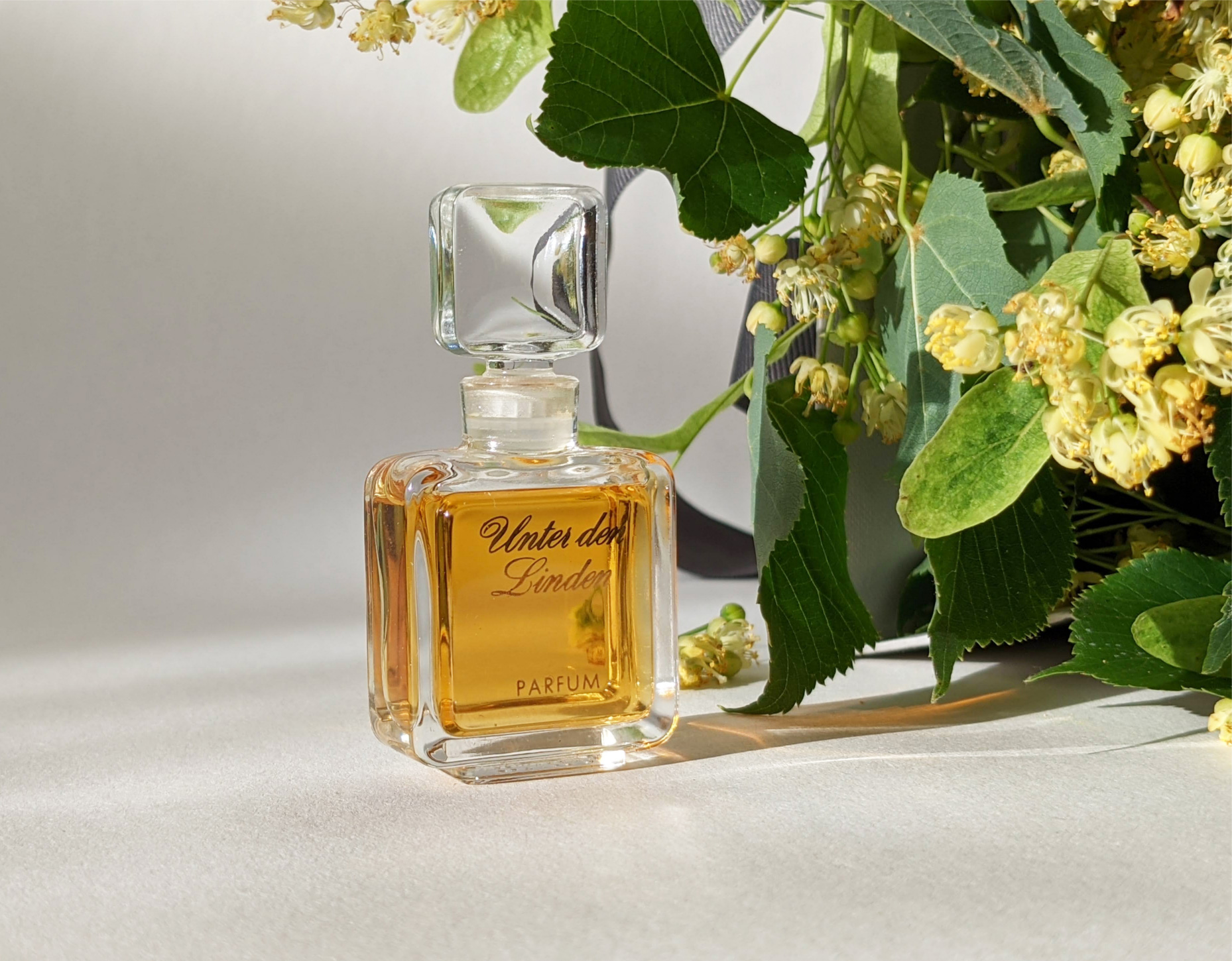 Linden perfume online