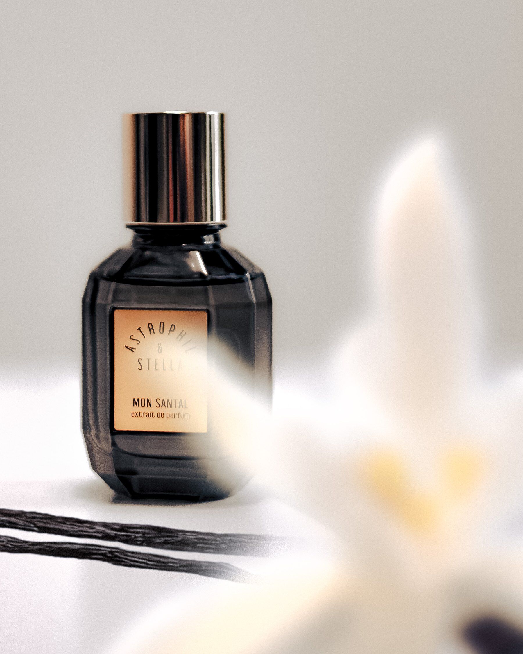 Mon Santal by Astrophil and Stella