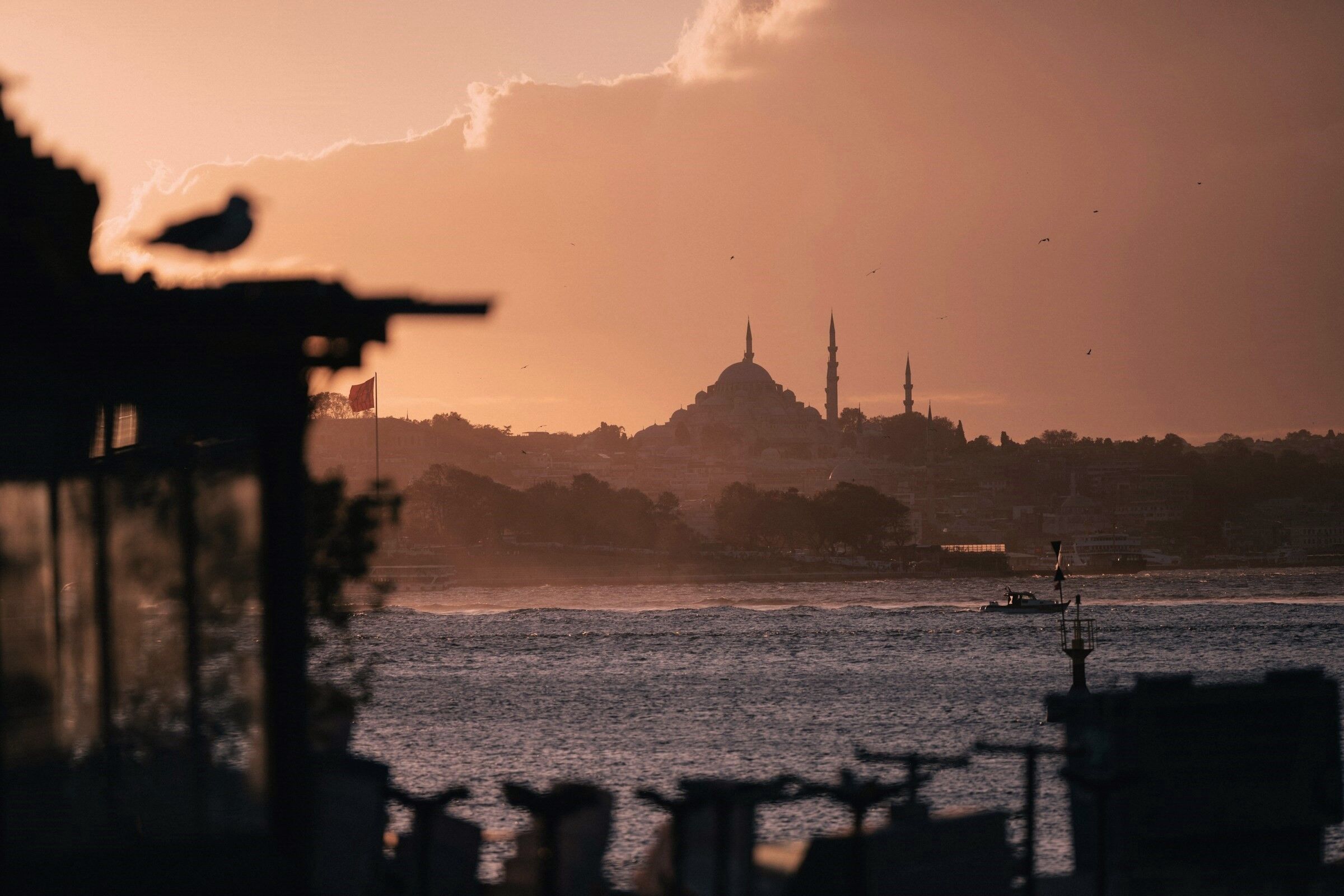 Istanbul от Atelier Rebul: Стамбул, ты снова меня обманул!