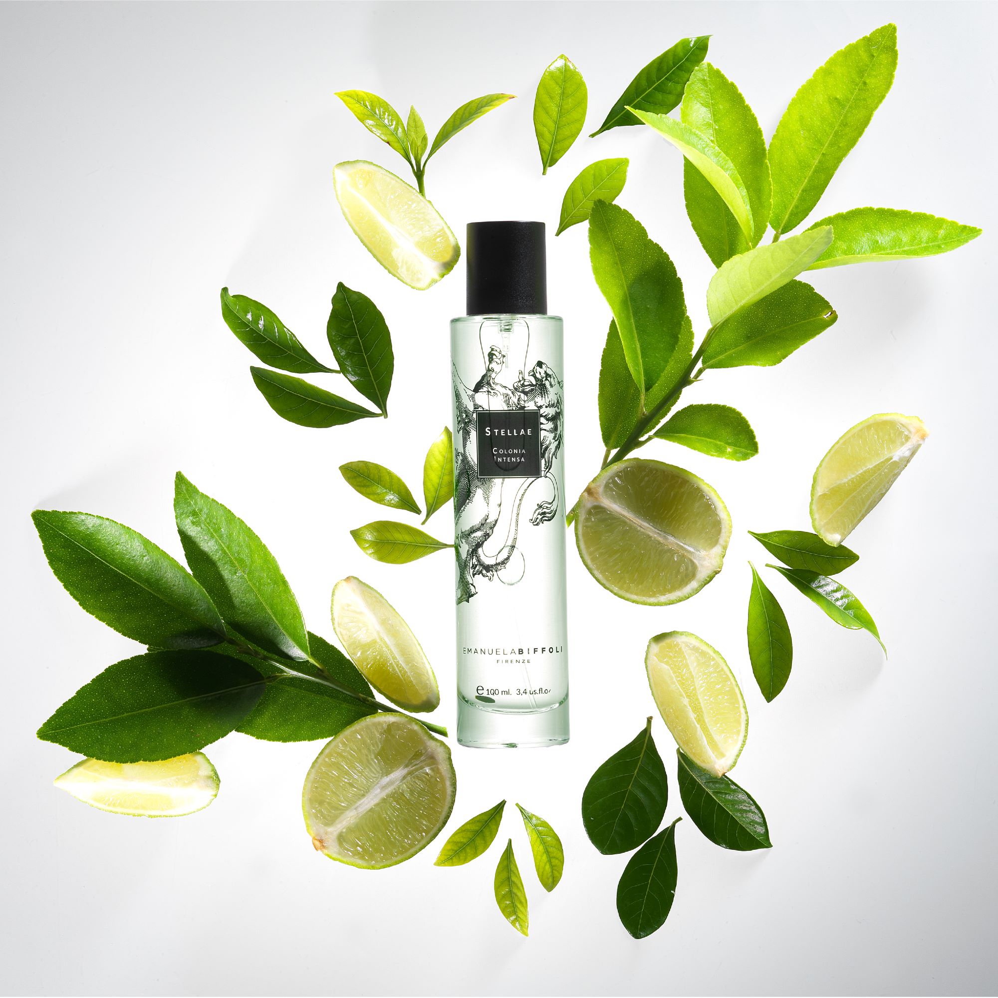 Stellae Colonia Intensa ad image