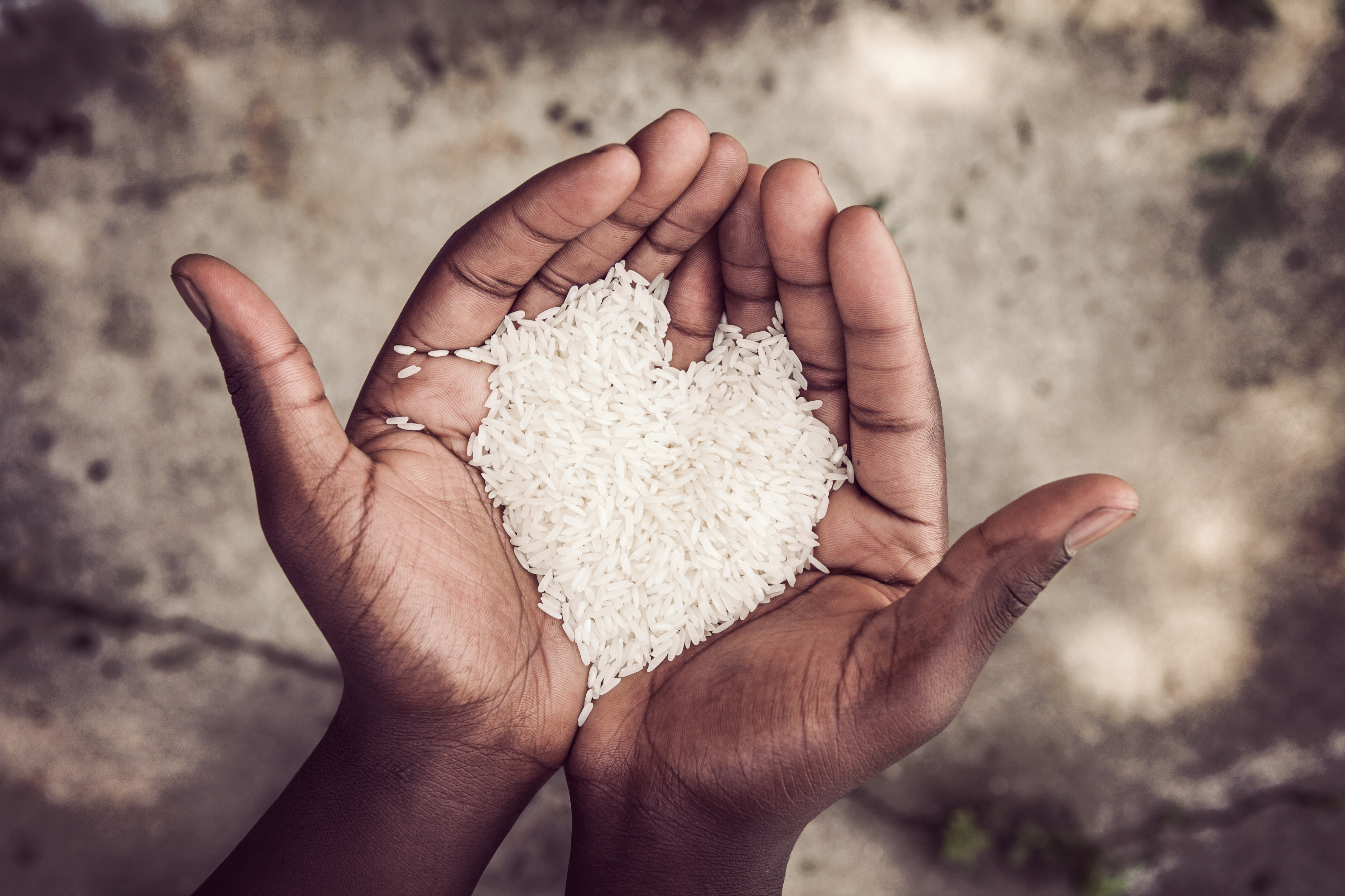 rice grains on palm of hands